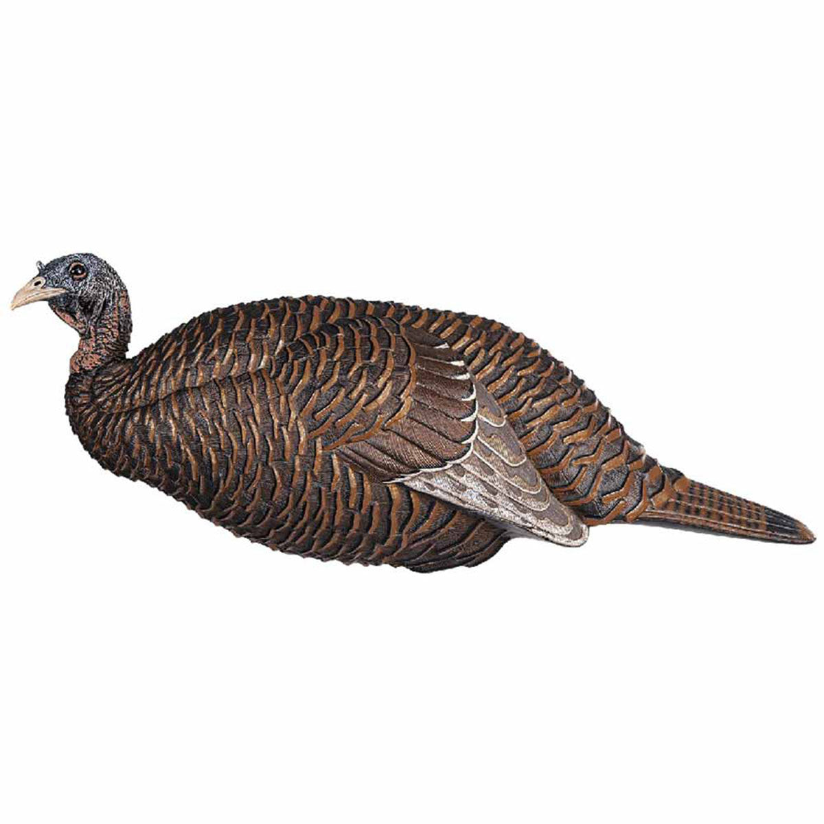 Flextone Thunder Chick Breeder Turkey Decoy Image