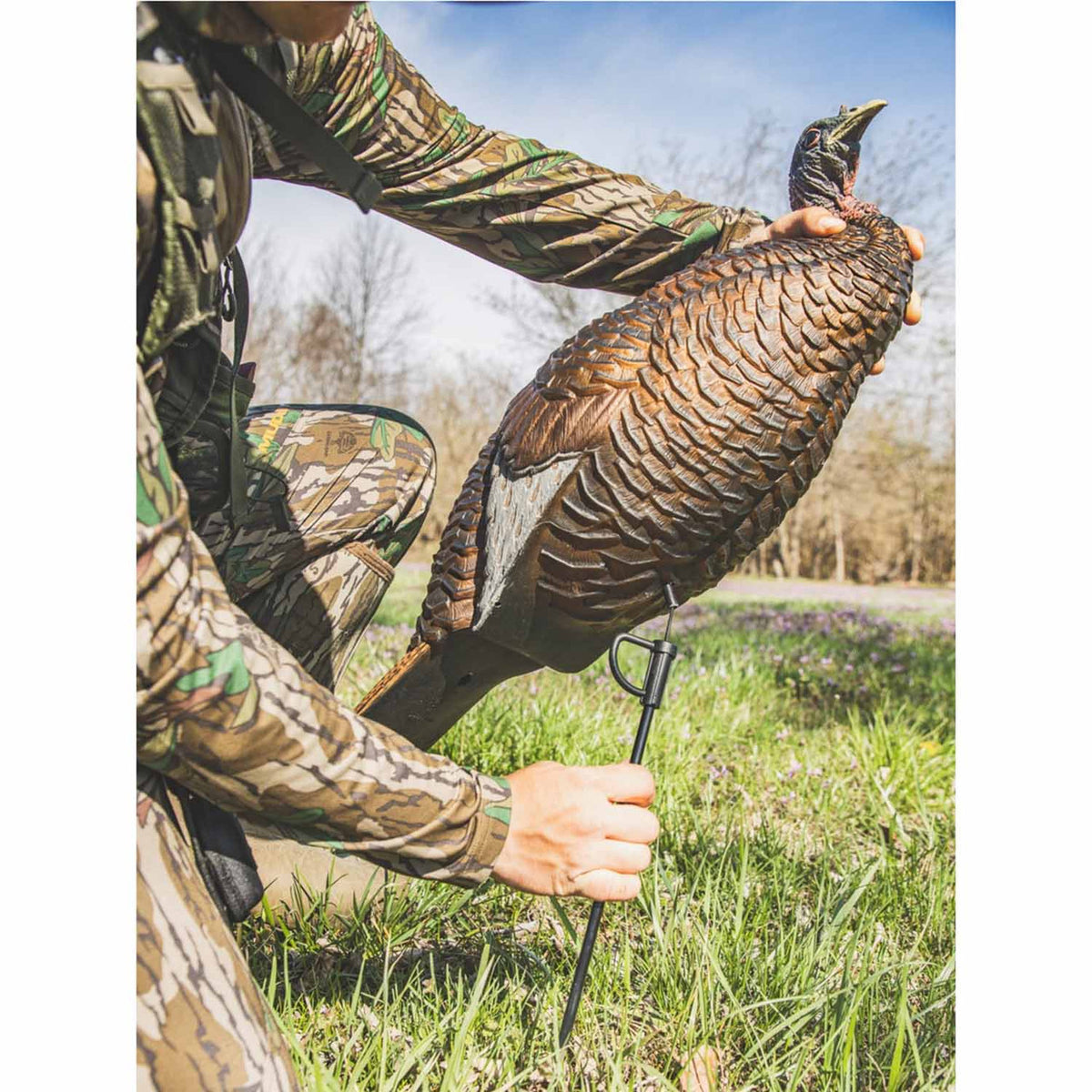 Flextone Thunder Chick Breeder Turkey Decoy Field Placement Image