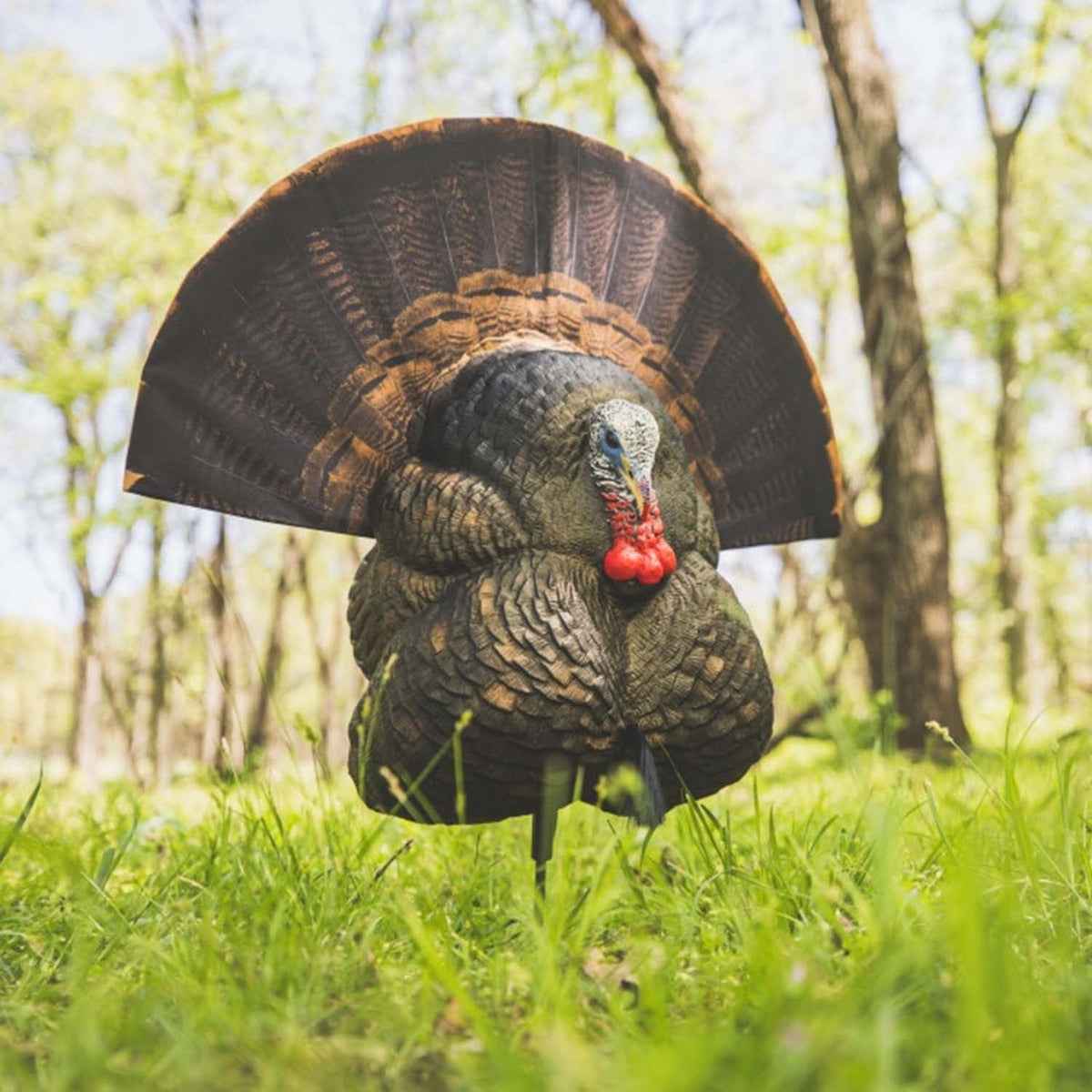 Flextone Thunder Creeper Strutter Decoy Field Image