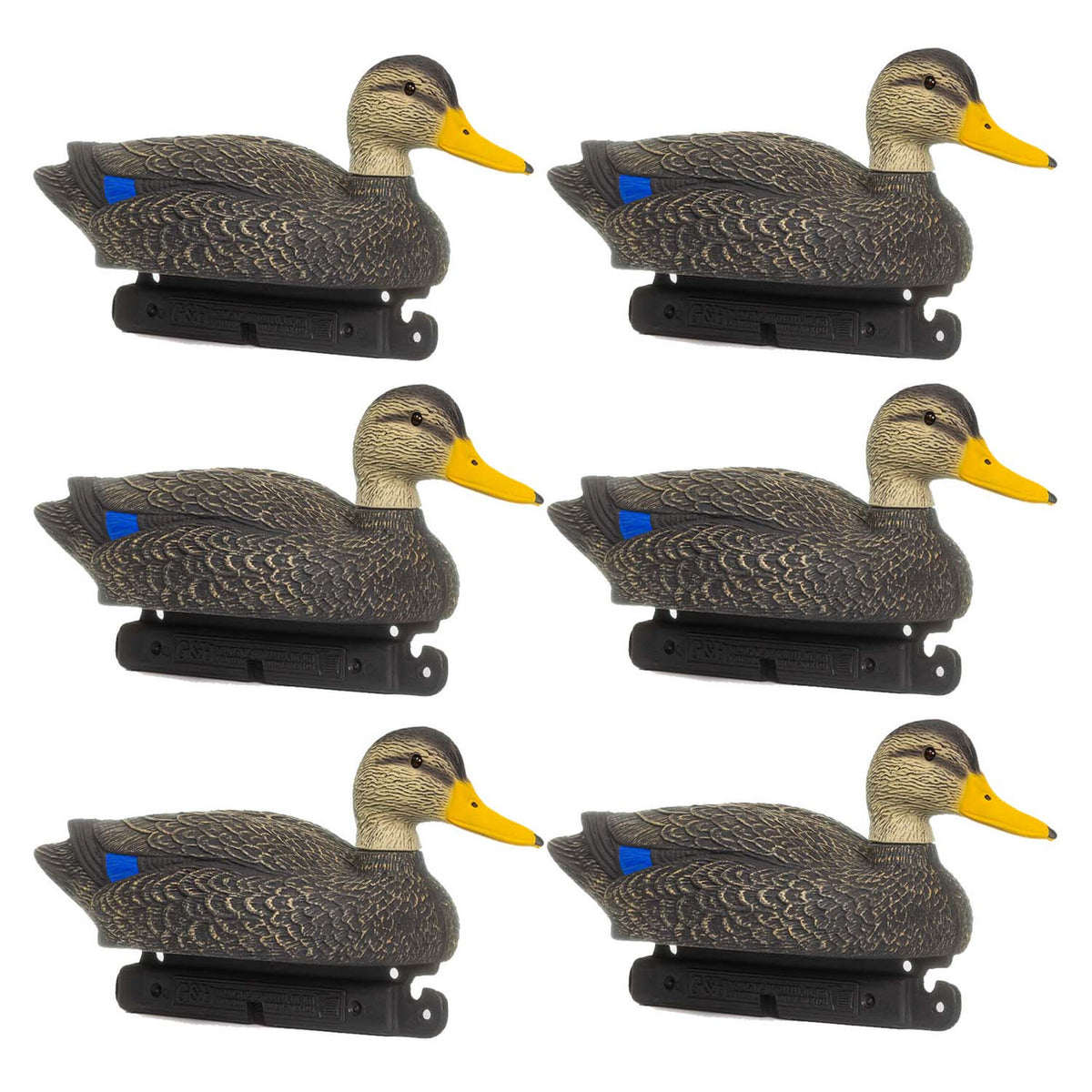 Six Pack Image of the G&H Decoys Black Duck Magnum Decoys.