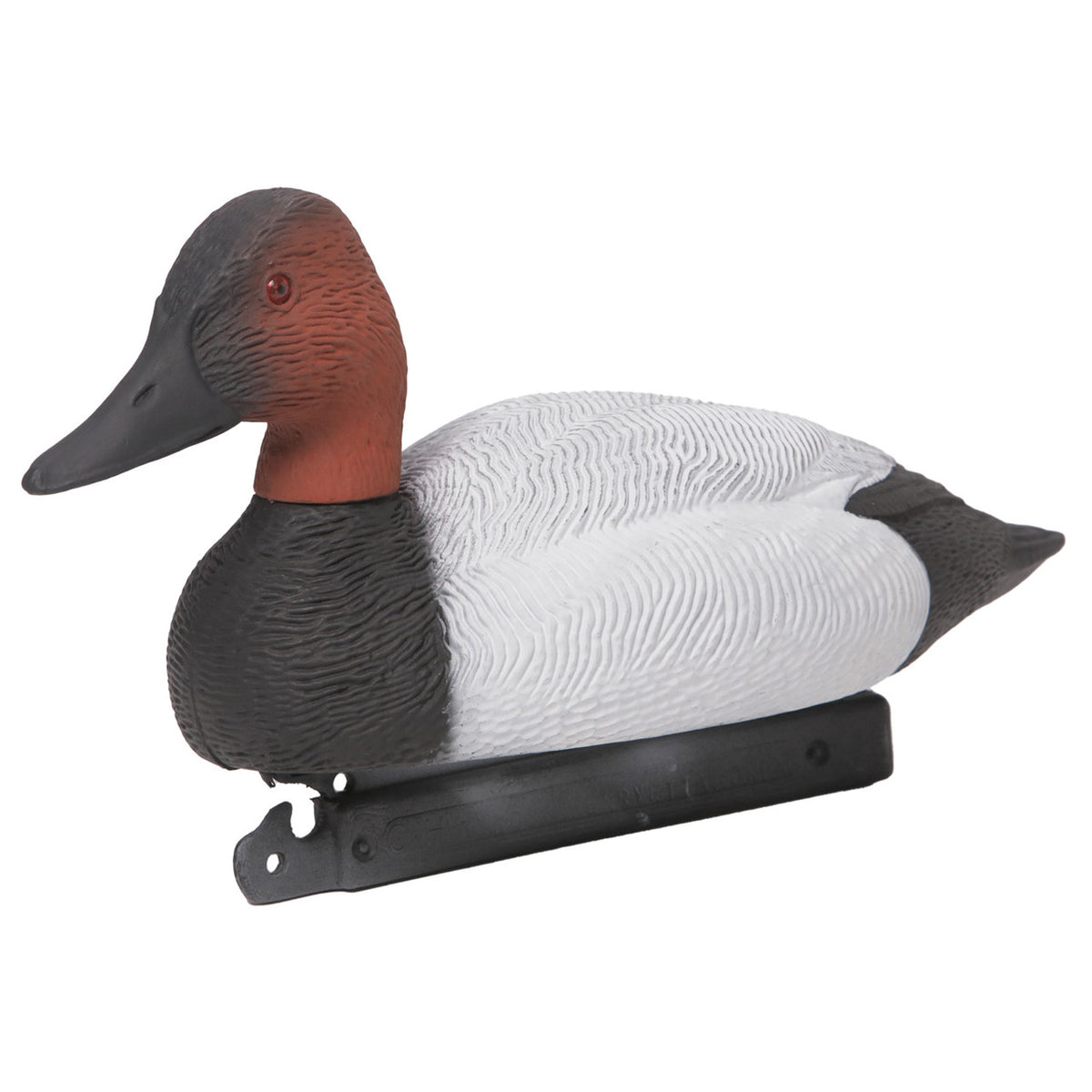Drake Image of the G&H Decoys Premier Series Canvasback Duck Decoys.