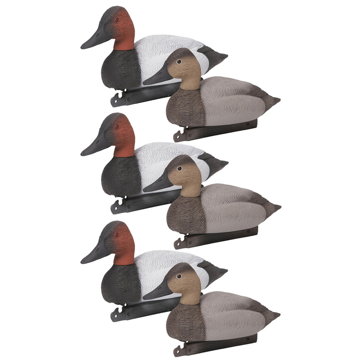Six Pack Image of the G&H Decoys Premier Series Canvasback Duck Decoys.