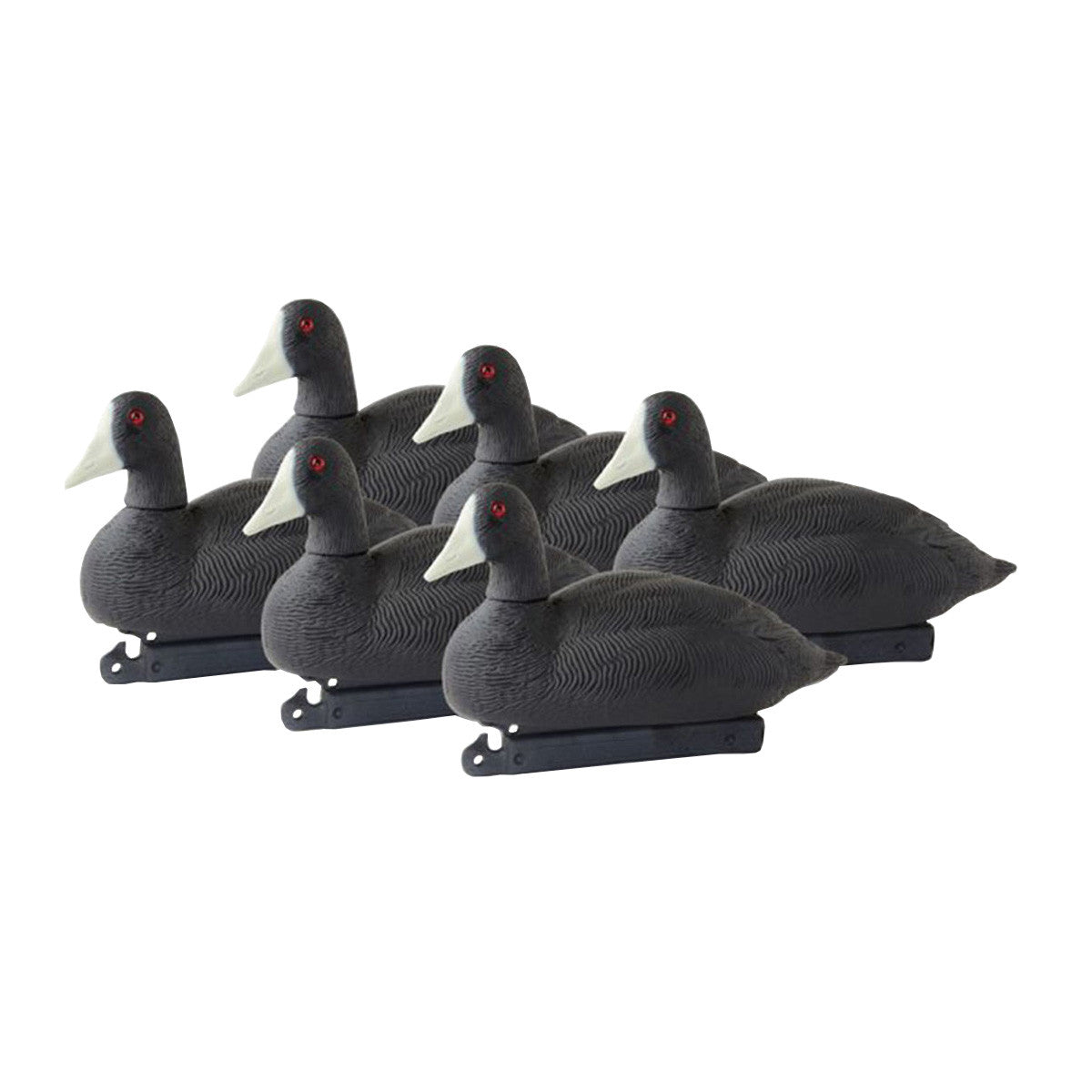 G&H Decoys Coot Duck Decoys