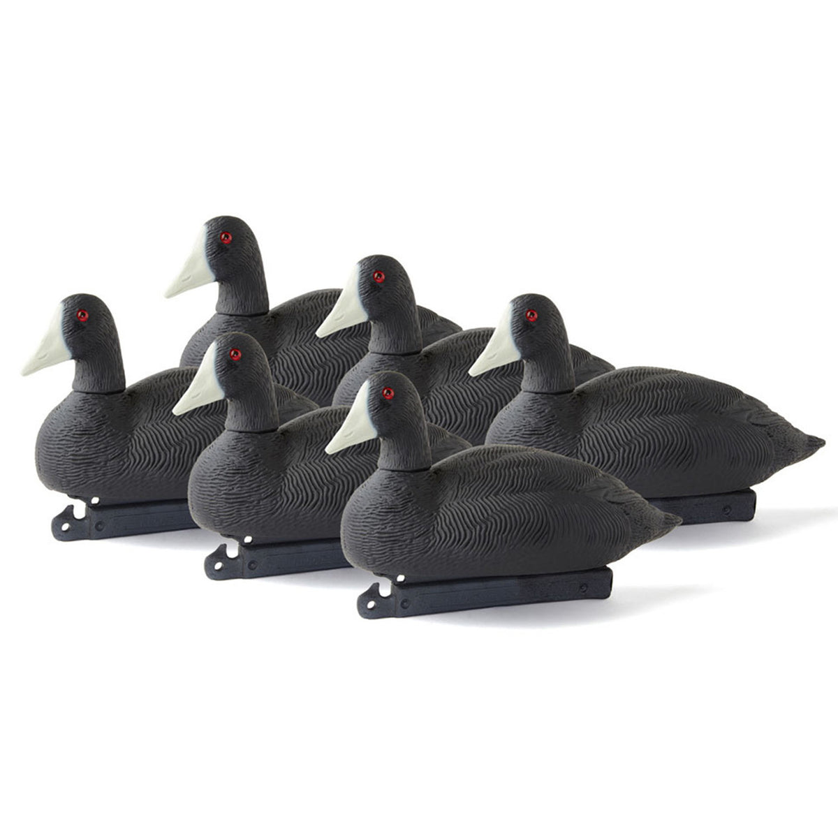 Six Pack Image of the G&H Decoys Coot Duck Decoys.