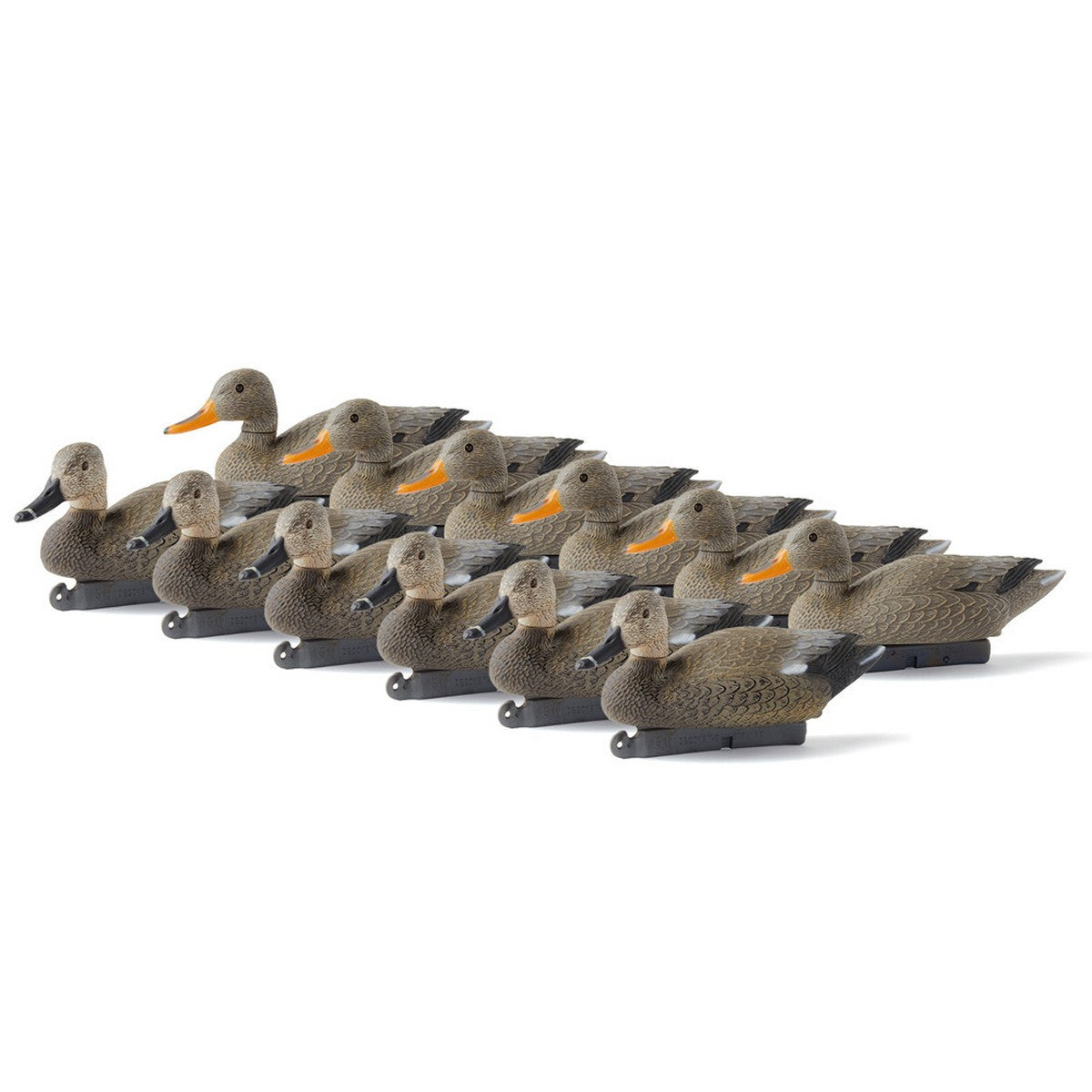 G&H Gadwall Floater Duck Decoys, 12 Pack Image