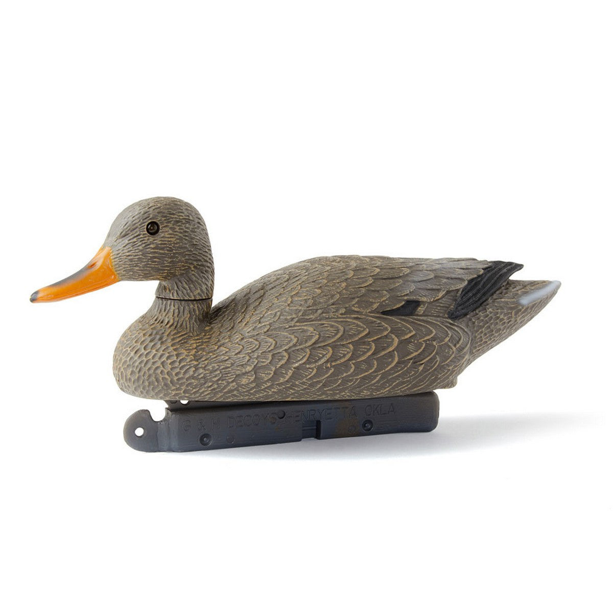 G&H Gadwall Floater Duck Decoy Hen Image