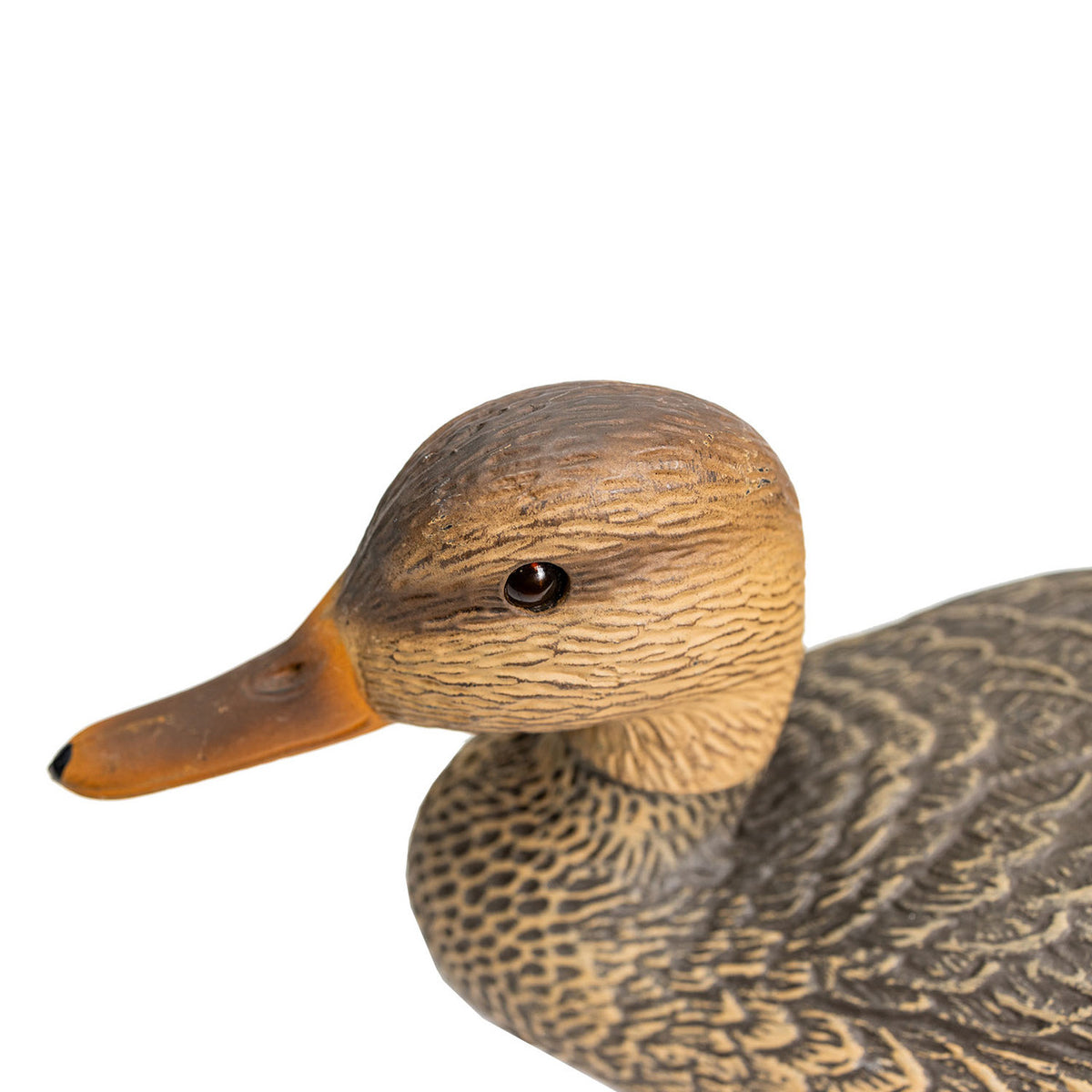G&H Gadwall Floater Duck Decoys Gadwall Hen Head Image