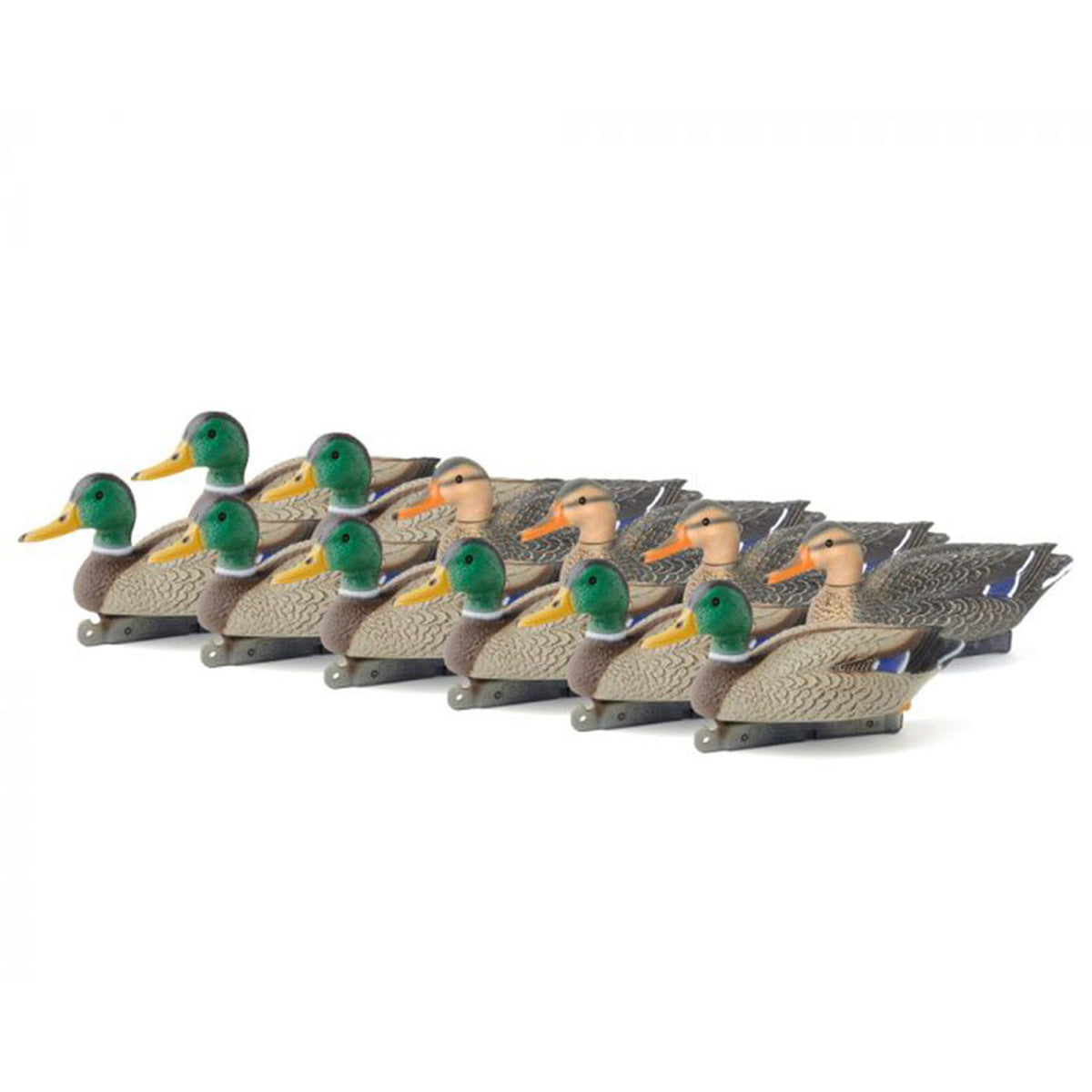 Image of the Mallard Oversize Duck Decoys 12 Pack.