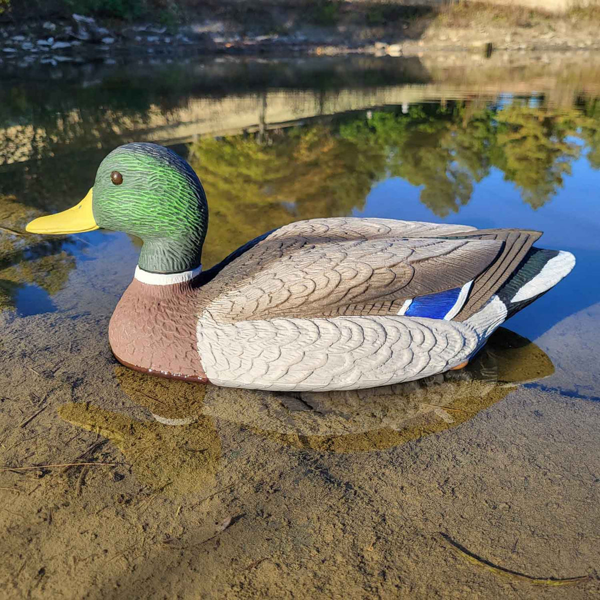 Single Mallard Drake Image of the G&H Decoys Mallard Drake Oversize Duck Decoys.