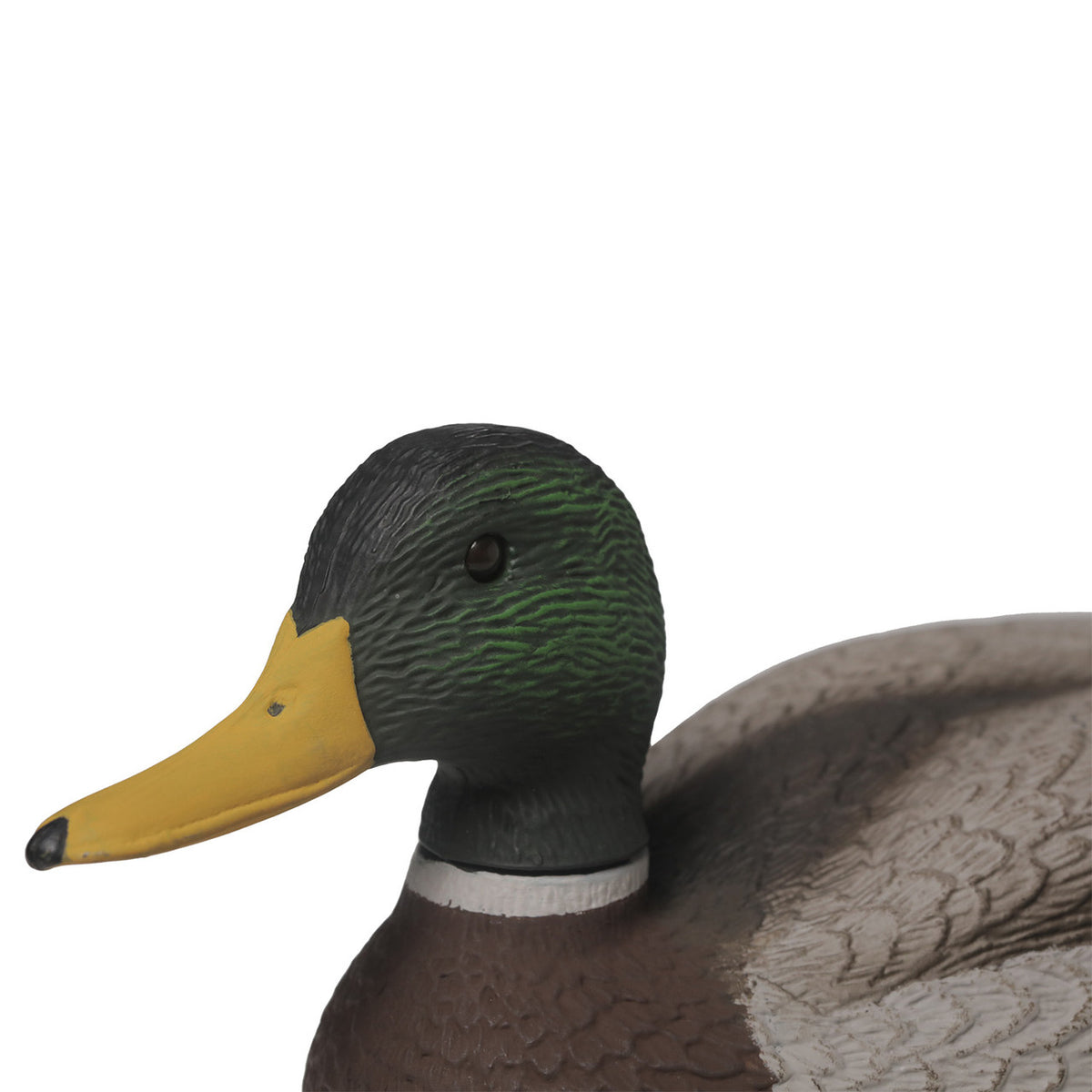 Drake Head Detailed Image of the G&H Decoys Premier Series Mallard Oversize Duck Decoys.