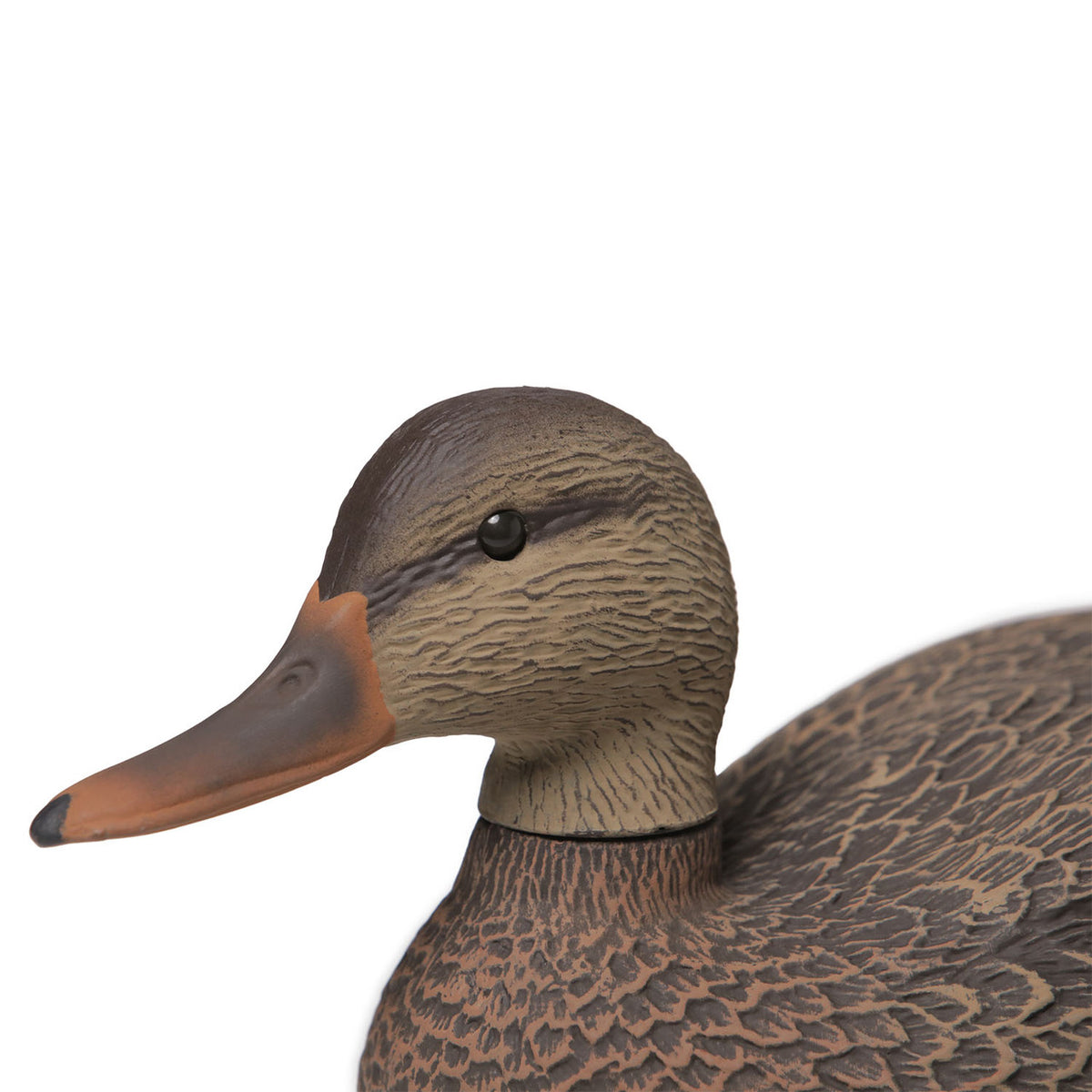 Hen Head Detailed Image of the G&H Decoys Premier Series Mallard Oversize Duck Decoys.