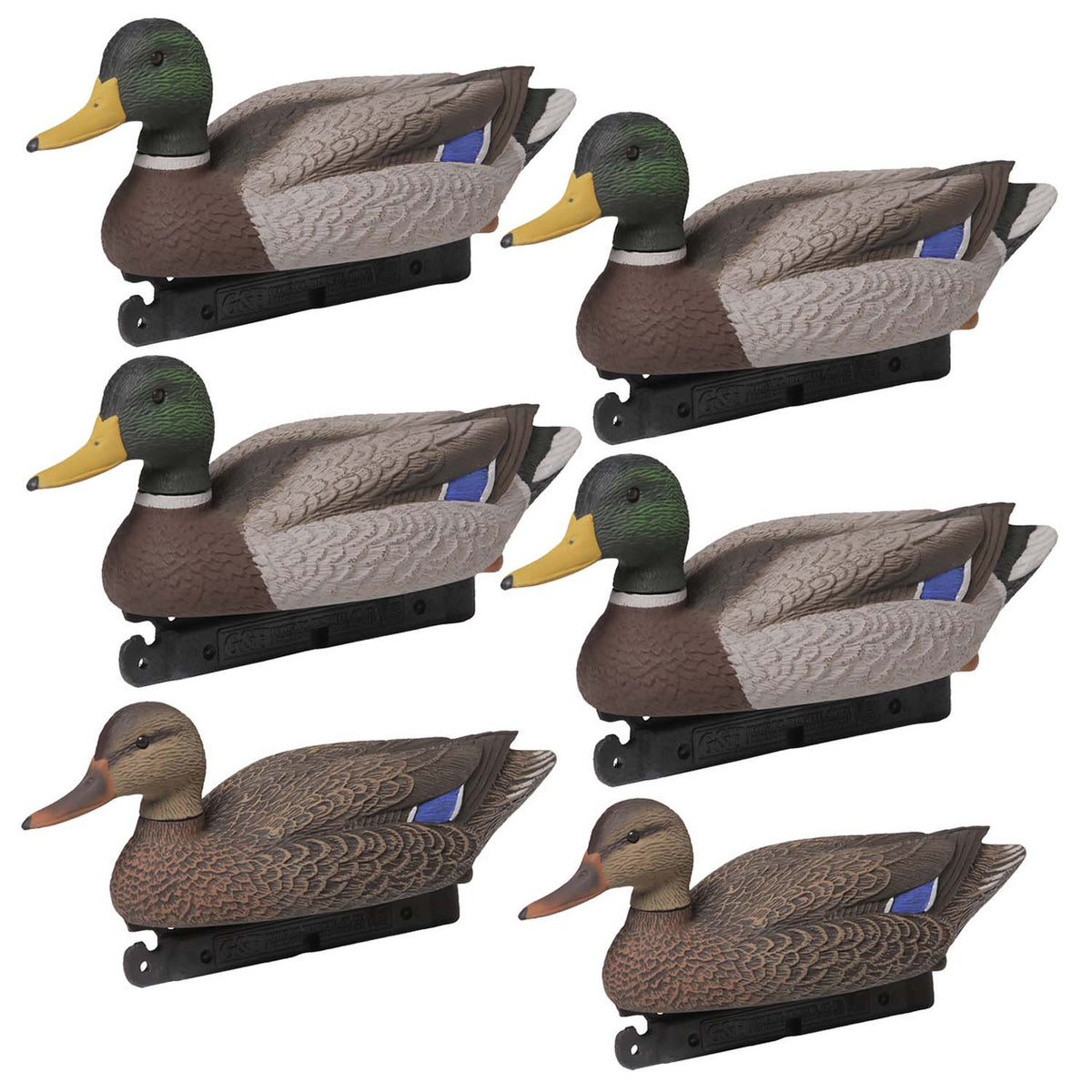 Six Pac Image of the G&H Decoys Premier Series Mallard Oversize Duck Decoys.