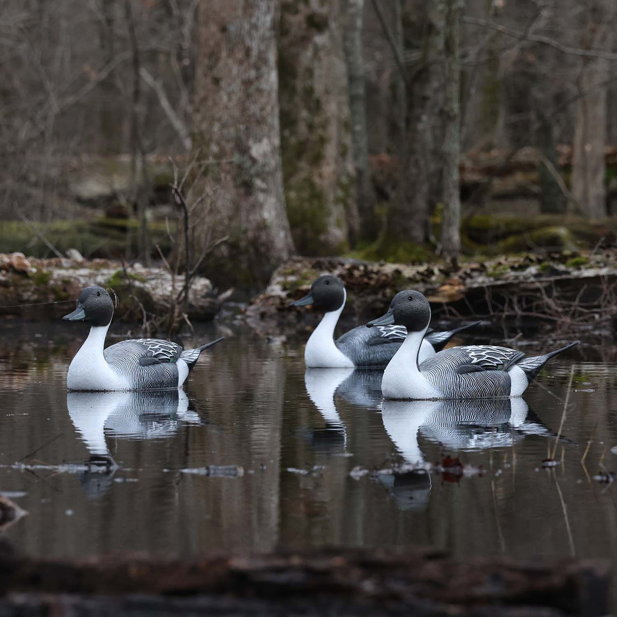 G&H Decoys Pintail Super Magnum Drake Decoys Lifestyle Image