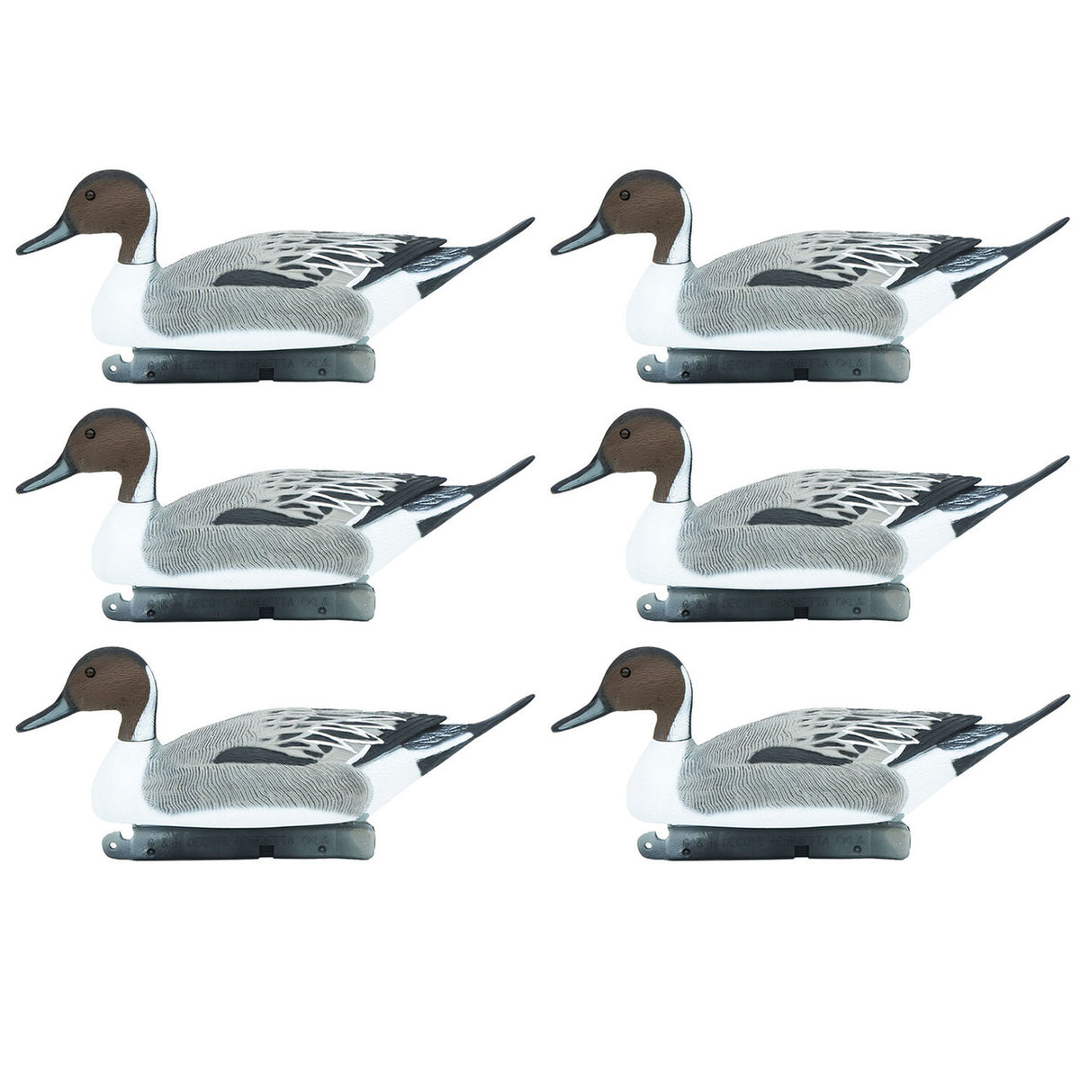 G&H Decoys Pintail Oversize Drake Only Duck 6 Pack Decoys Image