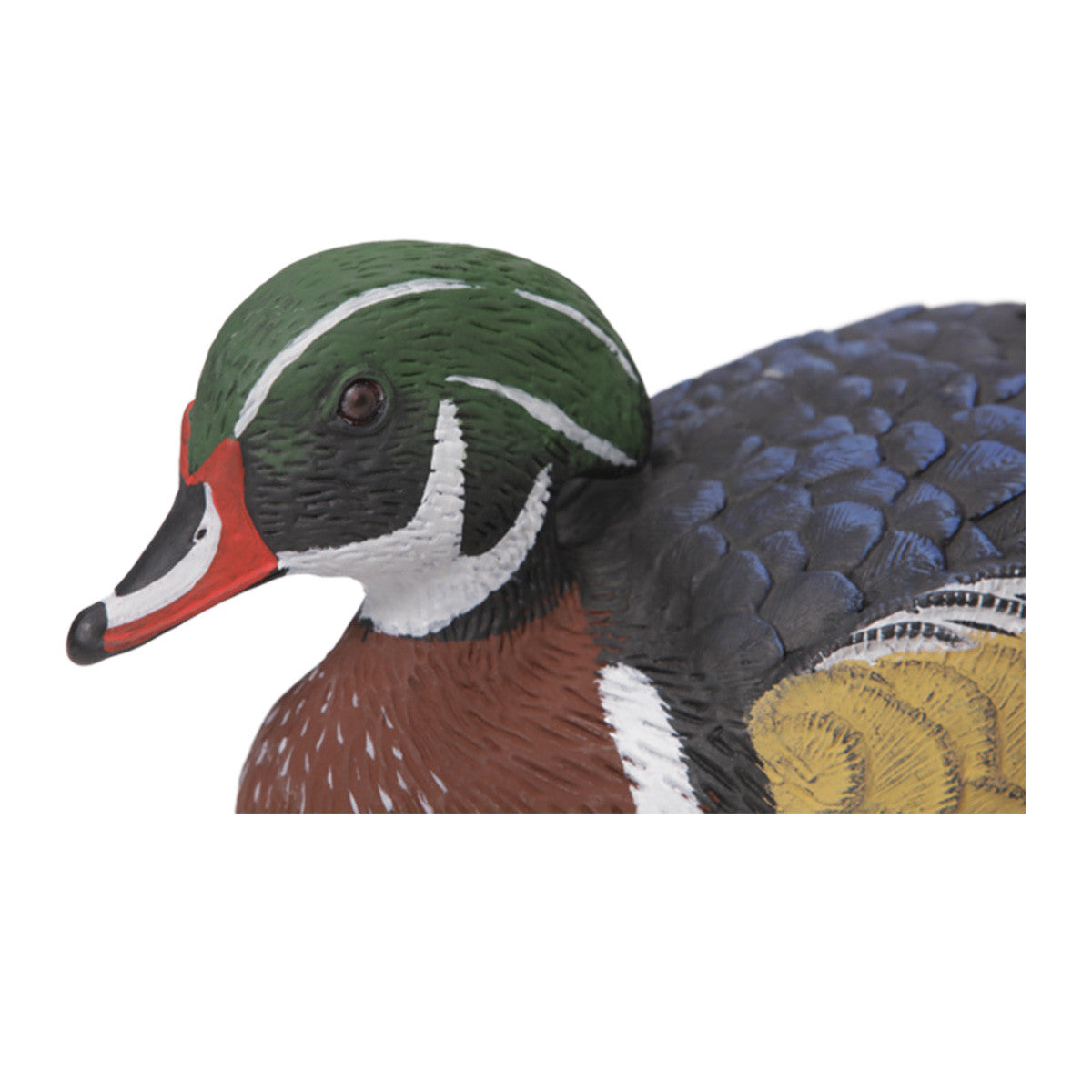 Premier Series Wood Duck Decoy Drake Head Image