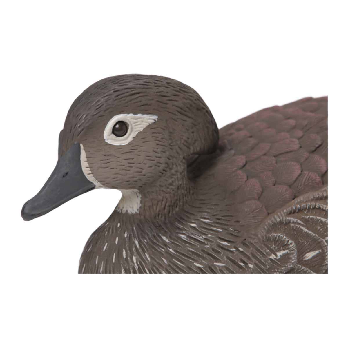 Premier Series Wood Duck Decoy Hen Head Image