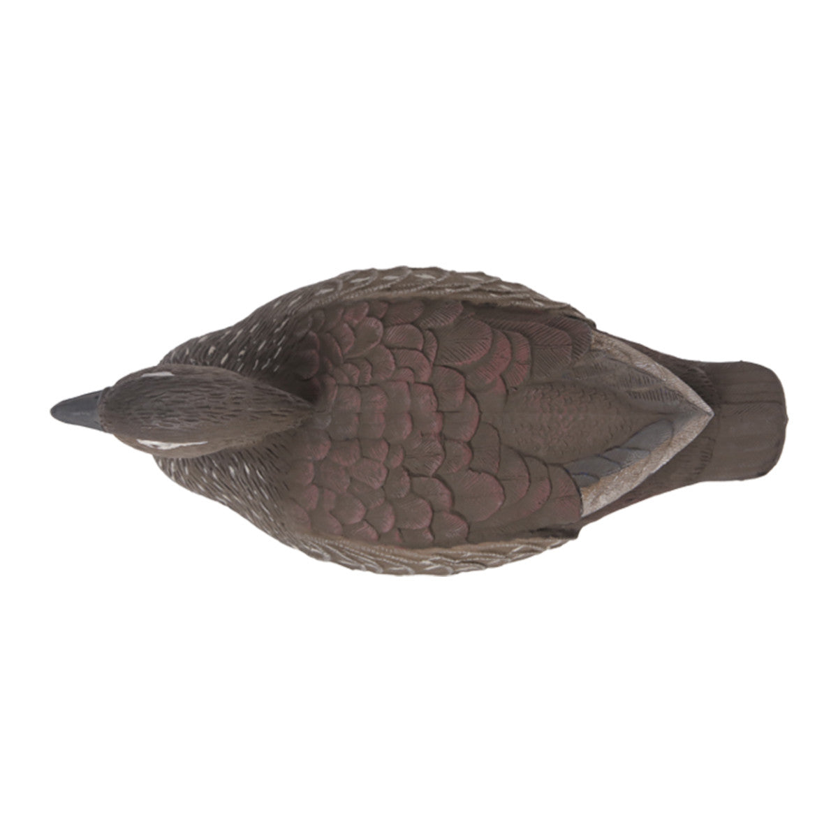 Premier Series Wood Duck Decoy Hen Top Image