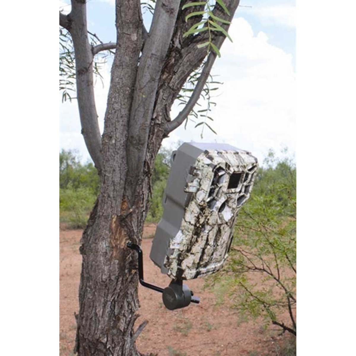 Economy Trail Camera Holder