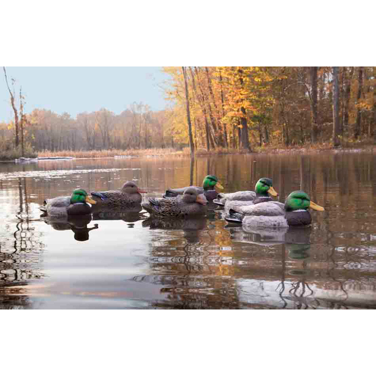Standard Mallard Foam Filled Floating Decoys, 6 Pack