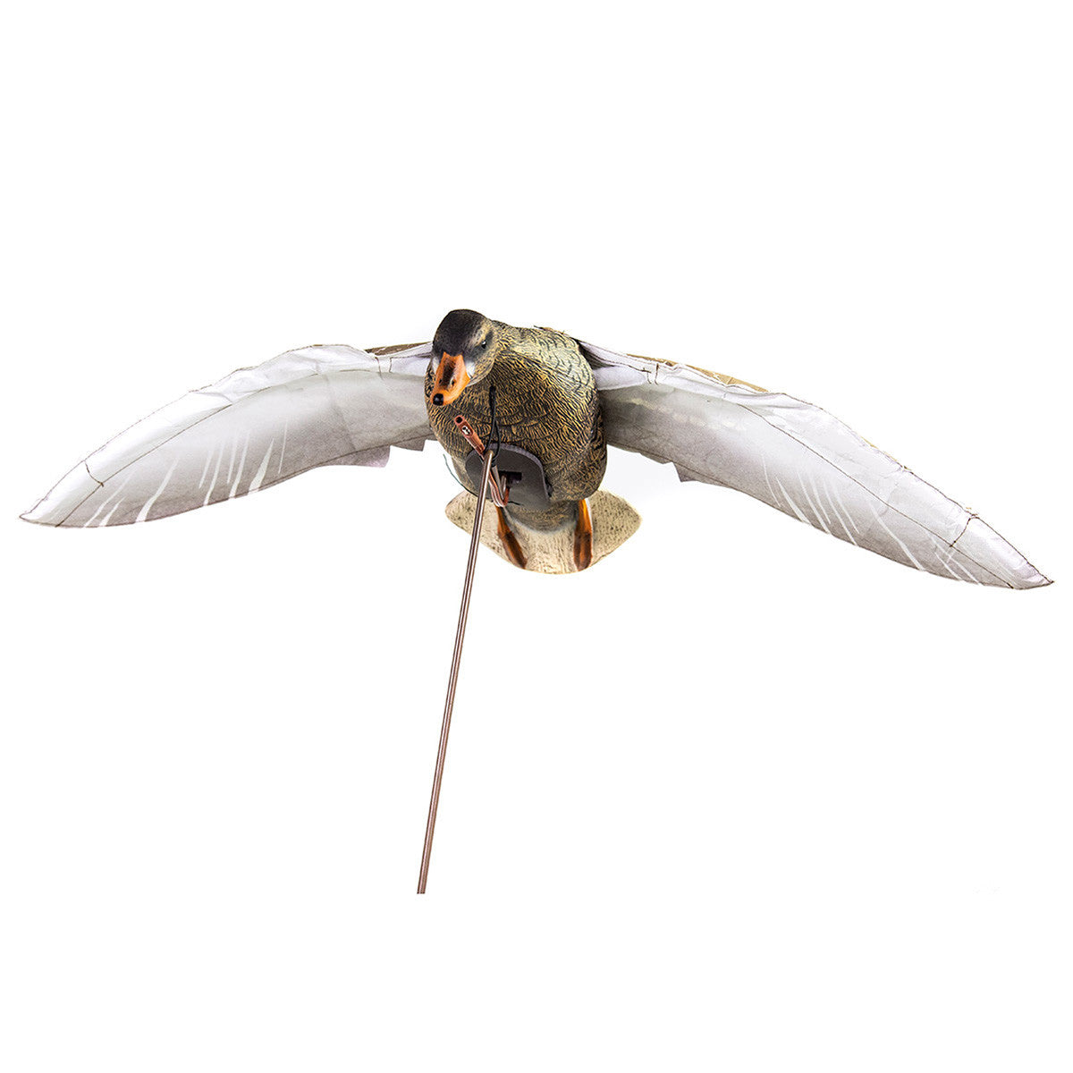 Clone Mallard Hen Flapping Decoy