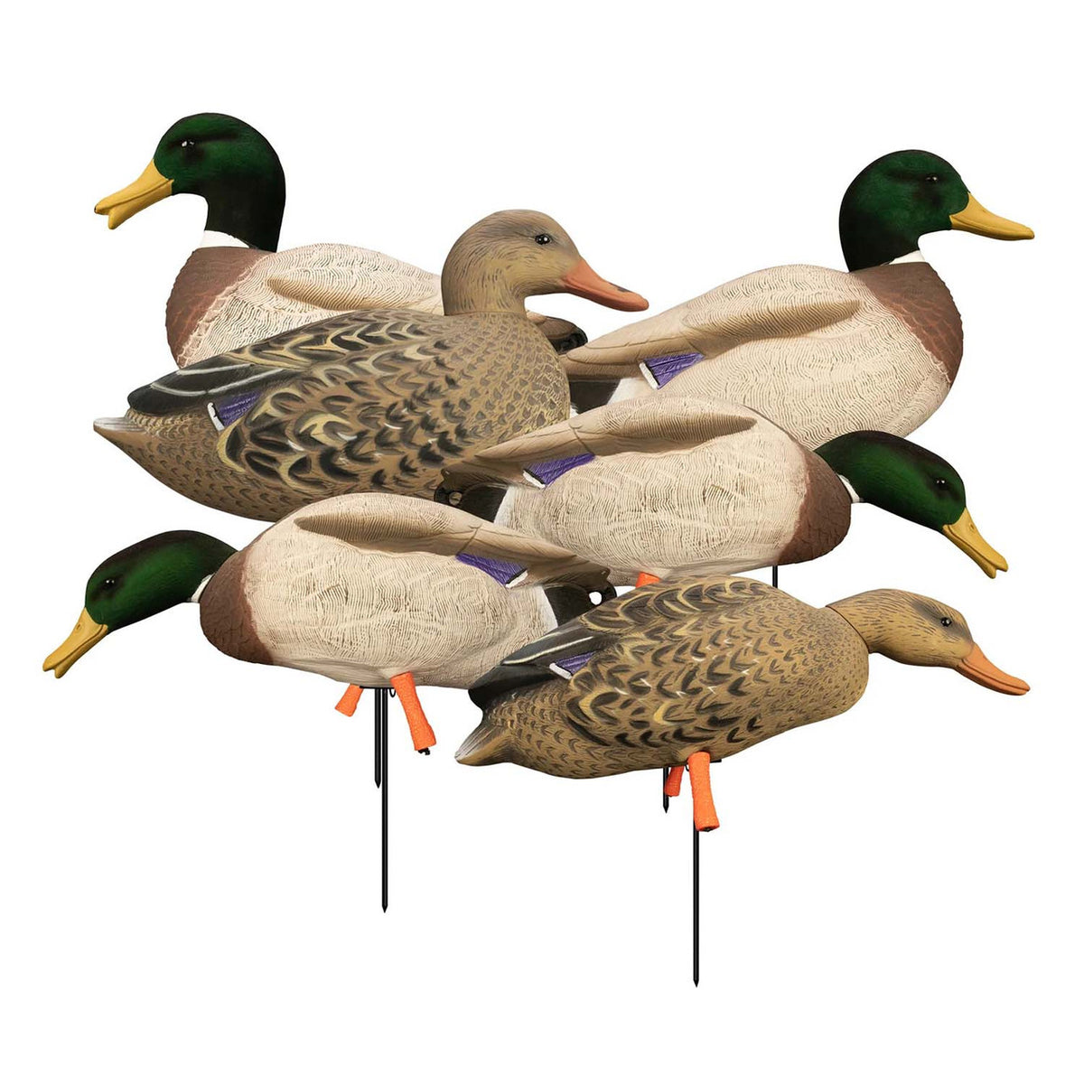 Higdon Outdoors Magnum Full-Body Mallard Decoys with Flocked Drake Heads Main Image
