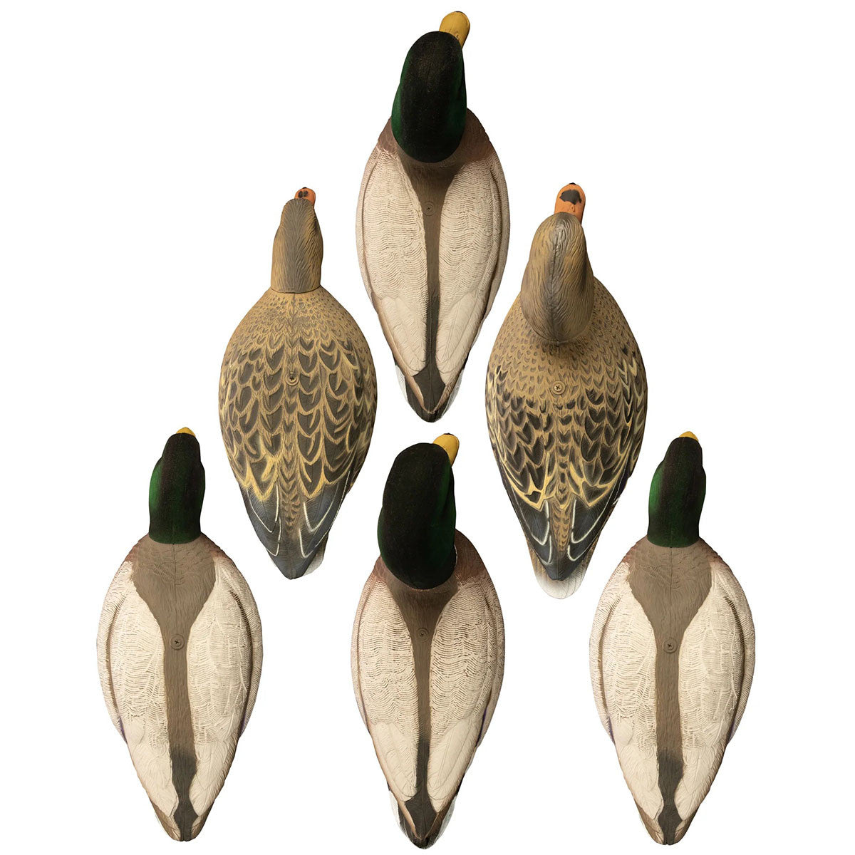 Higdon Magnum Full-Body Mallard, Variety 6 Pack with Flocked Heads and Free Bag Image