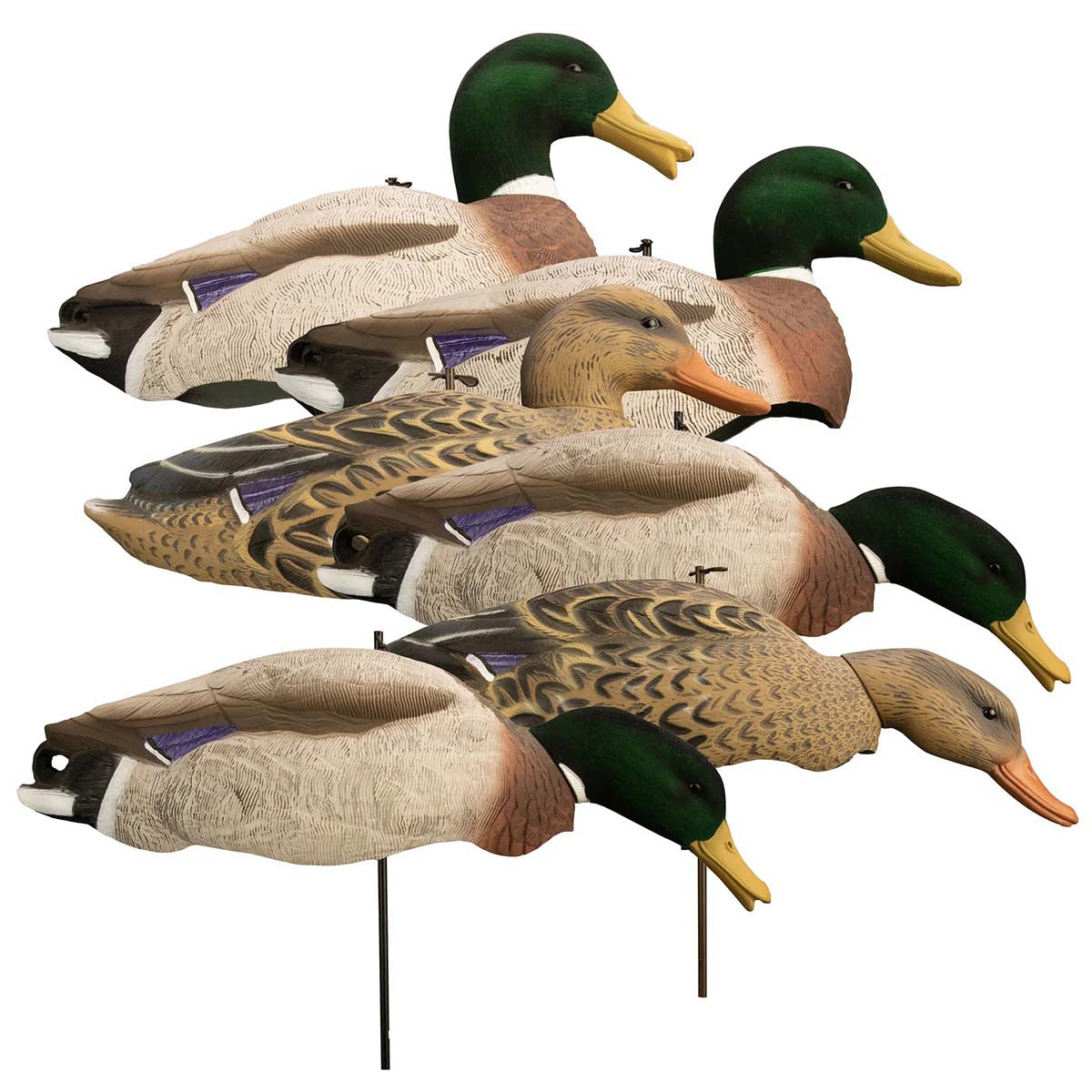 Higdon Outdoors Magnum Full-Form Shell Mallards with Flocked Heads, 6 Pack