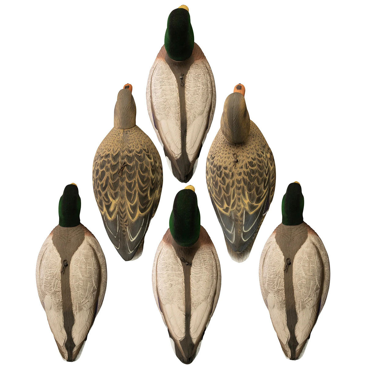 Magnum Full-Form Shell Mallards with Flocked Heads, 6 Pack