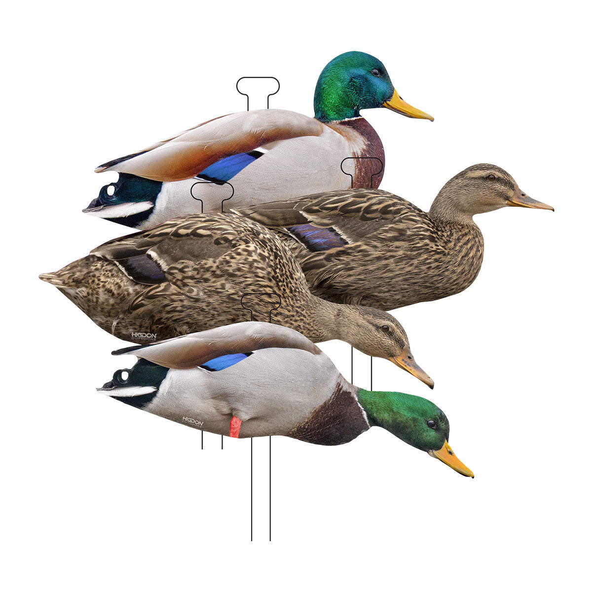 FLATS Standard Mallard Duck Silhouette Decoys - 12 Pack