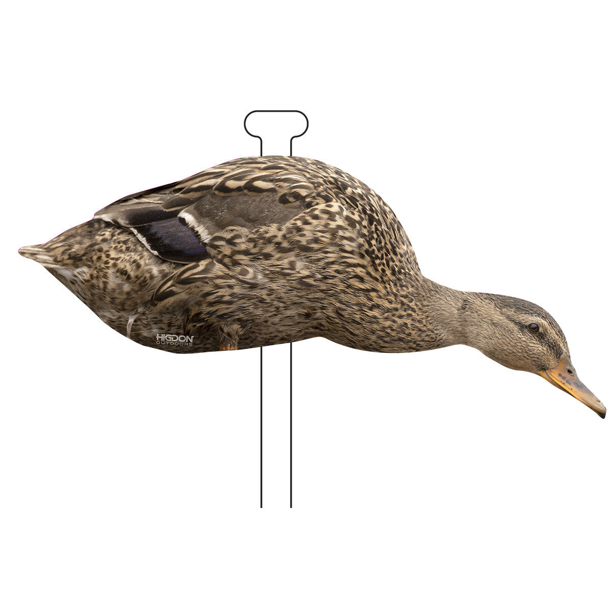 FLATS Standard Mallard Duck Silhouette Decoys  Hen Feeder