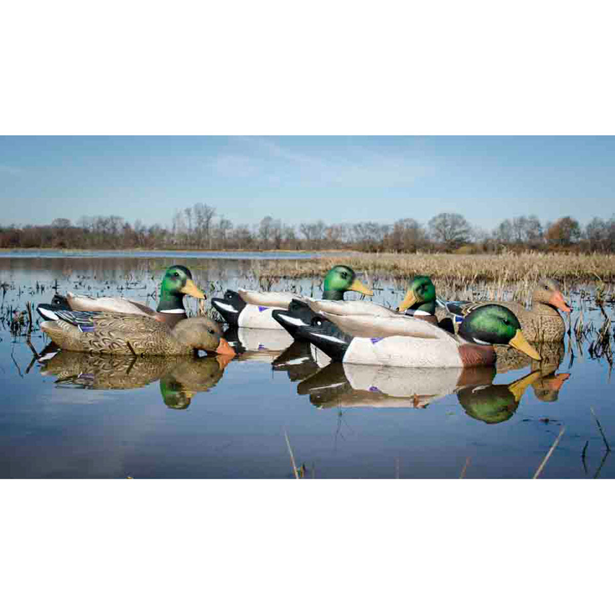 Battleship Super Magnum Foam Filled Mallard Floaters, 6 Pack