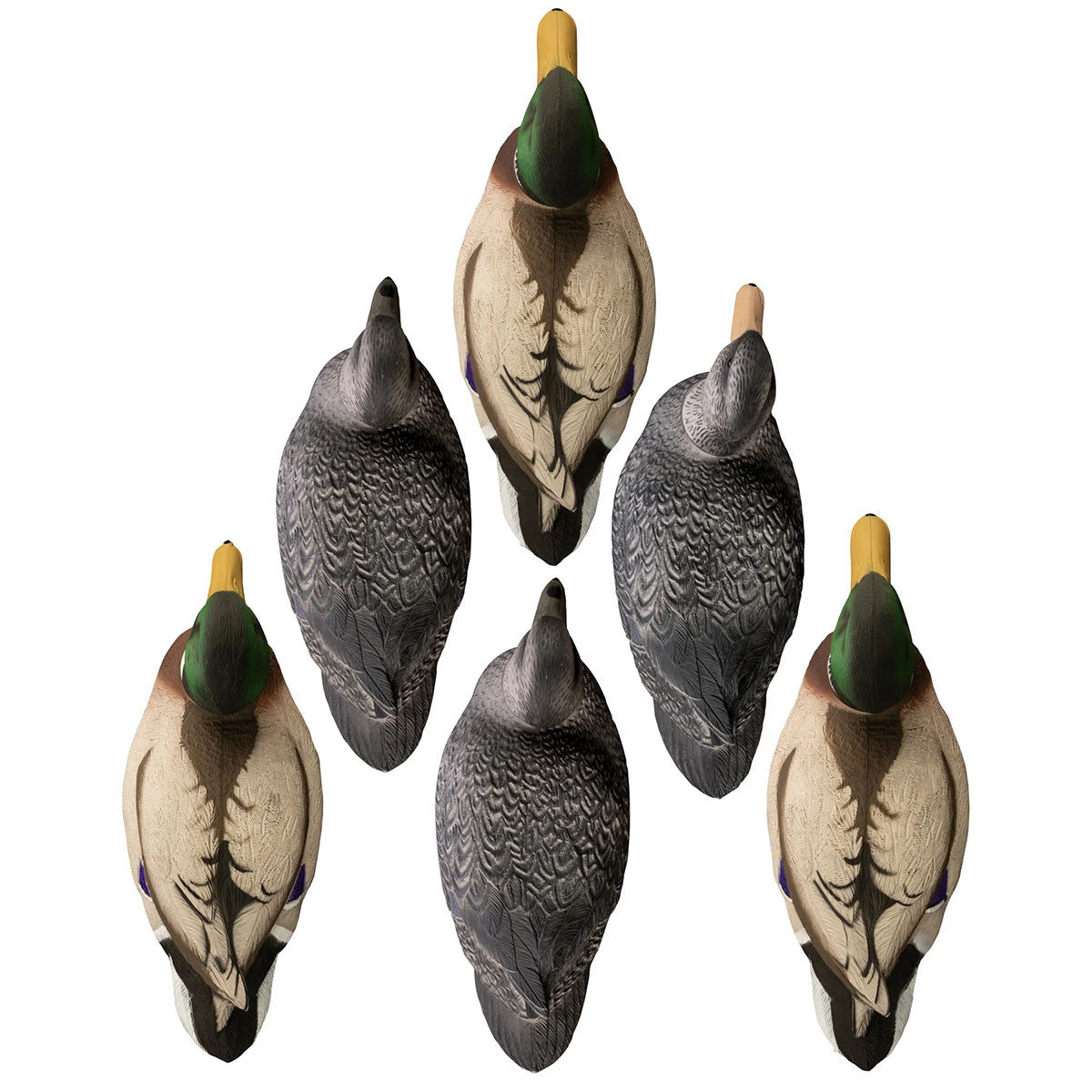Battleship Foam Filled Powers' Pack, 3 Mallard Drakes and 3 Black Ducks
