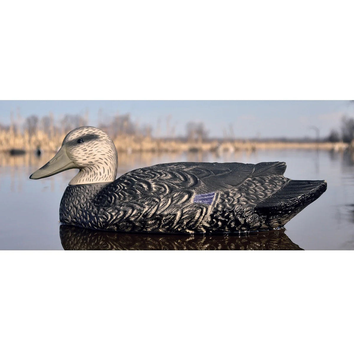 Higdon Battleship Super Magnum Foam Filled Black Duck Decoys - 6 Pack Water Image