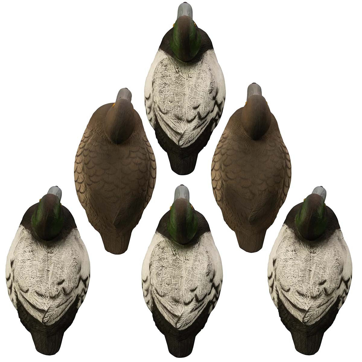 Battleship Bluebill Foam Filled Duck Decoys, 6 Pack