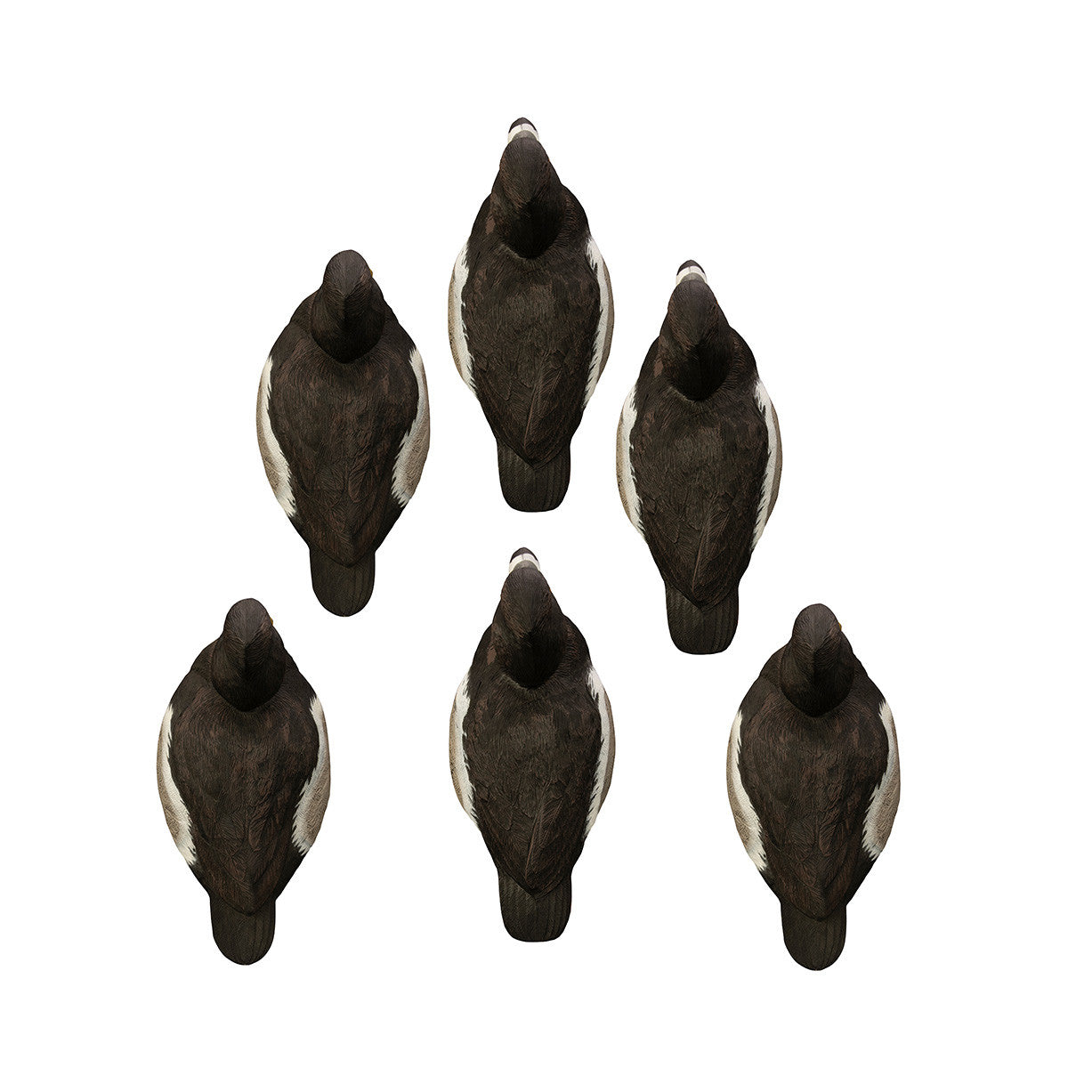 Higdon Outdoors Battleship Ringneck Drake Foam Filled Duck Decoys - 6 Pack Top View Image