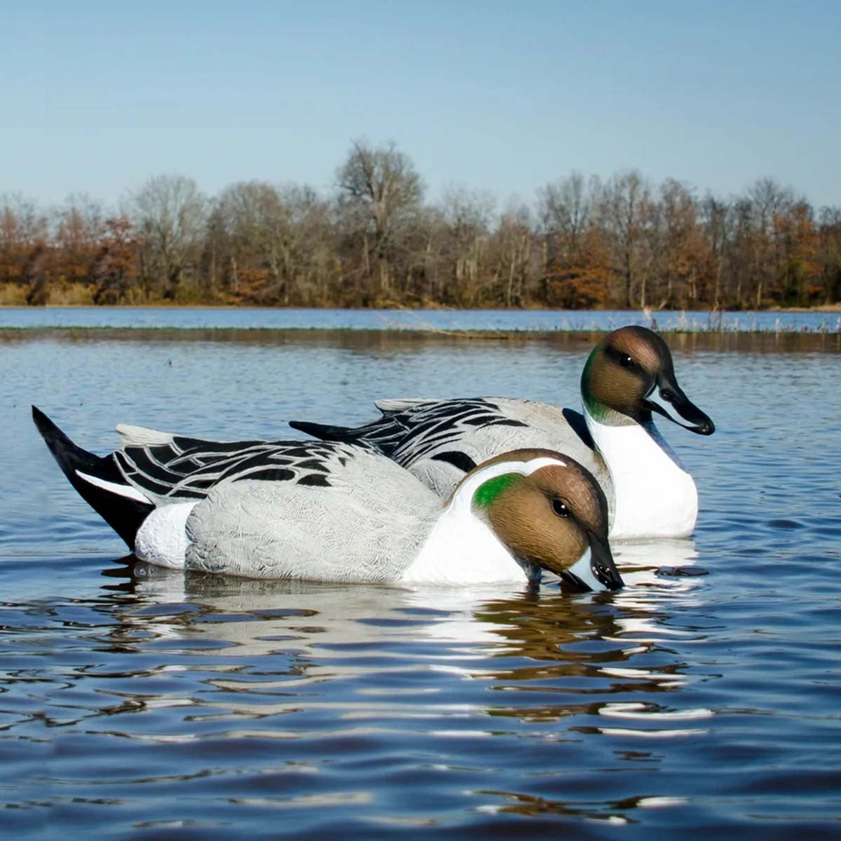 Higdon Battleship Pintail Foam Filled Drakes Decoys Image