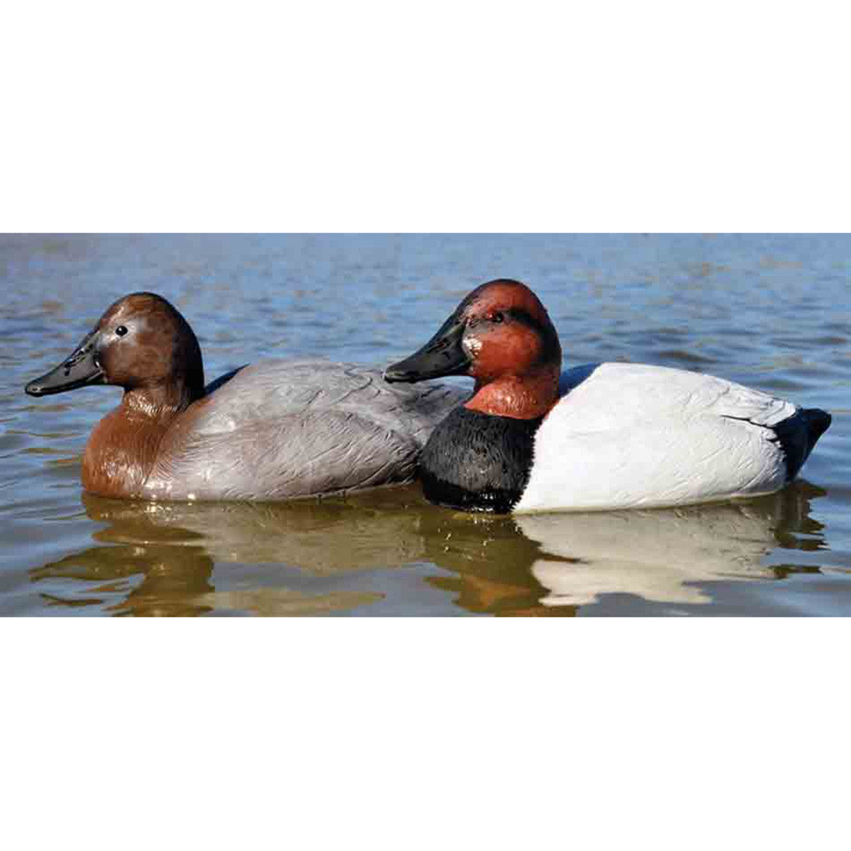 Higdon Battleship Canvasback Foam Filled Duck Decoys In-the-Water Image
