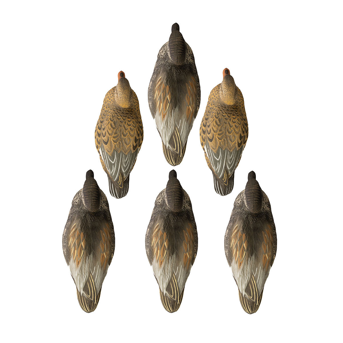 Higdon Battleship Gadwall Foam Filled Duck Decoys - 6 Pack Image
