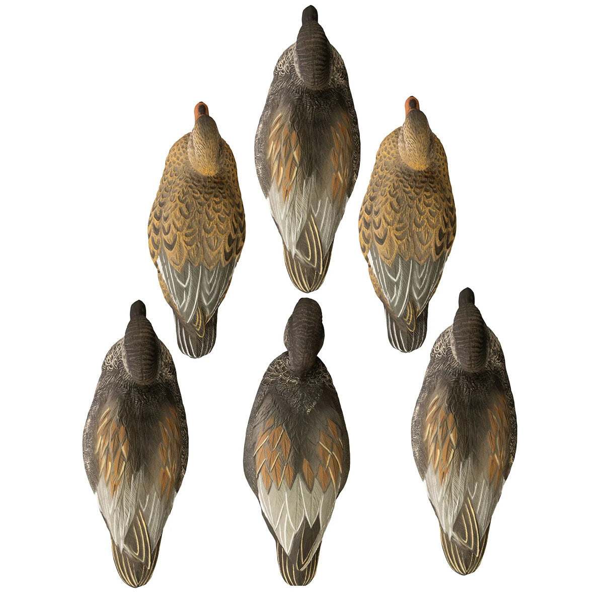 Battleship Foam Filled Gadwall Duck Decoys
