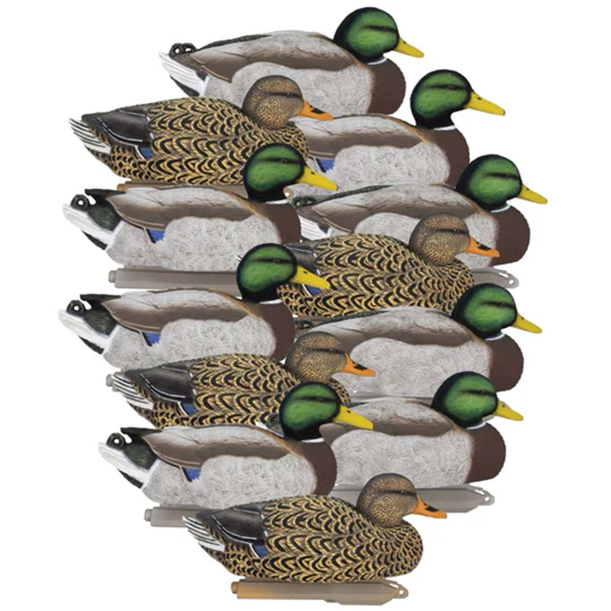 Higdon Legacy Magnum Mallard with Foam Filled Flocked Heads, 12 Pack image
