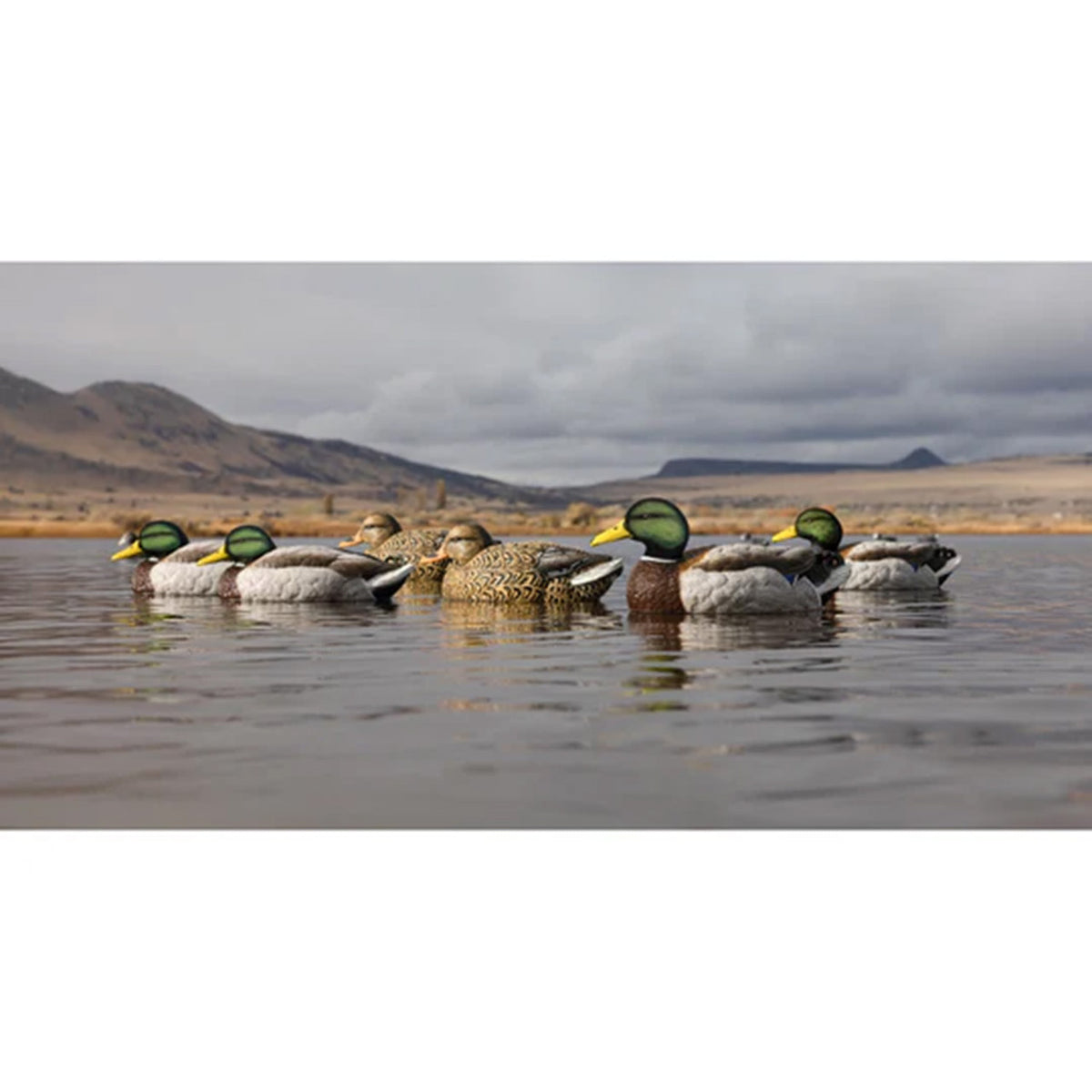 Higdon Legacy Magnum Mallard with Foam Filled Flocked Heads floating image