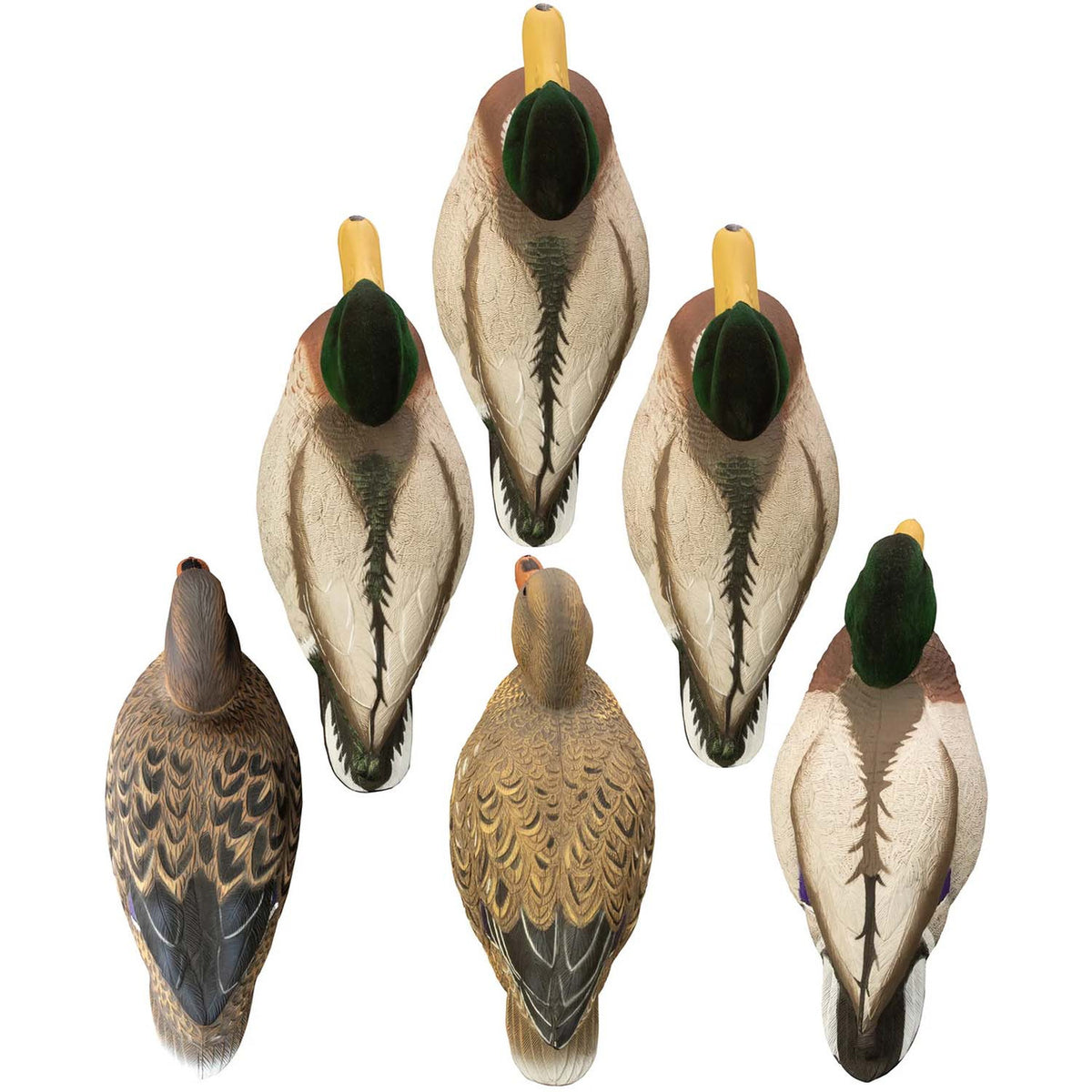 Higdon Magnum Mallard Foam Filled, Flocked Head Decoys - 6 Pack Top View Image