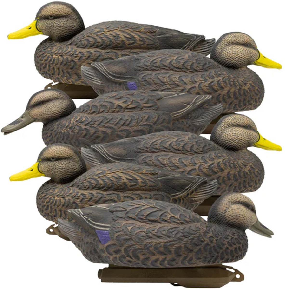 Image of the Higdon Legacy Magnum Black Duck Foam Filled, 6 Pack.