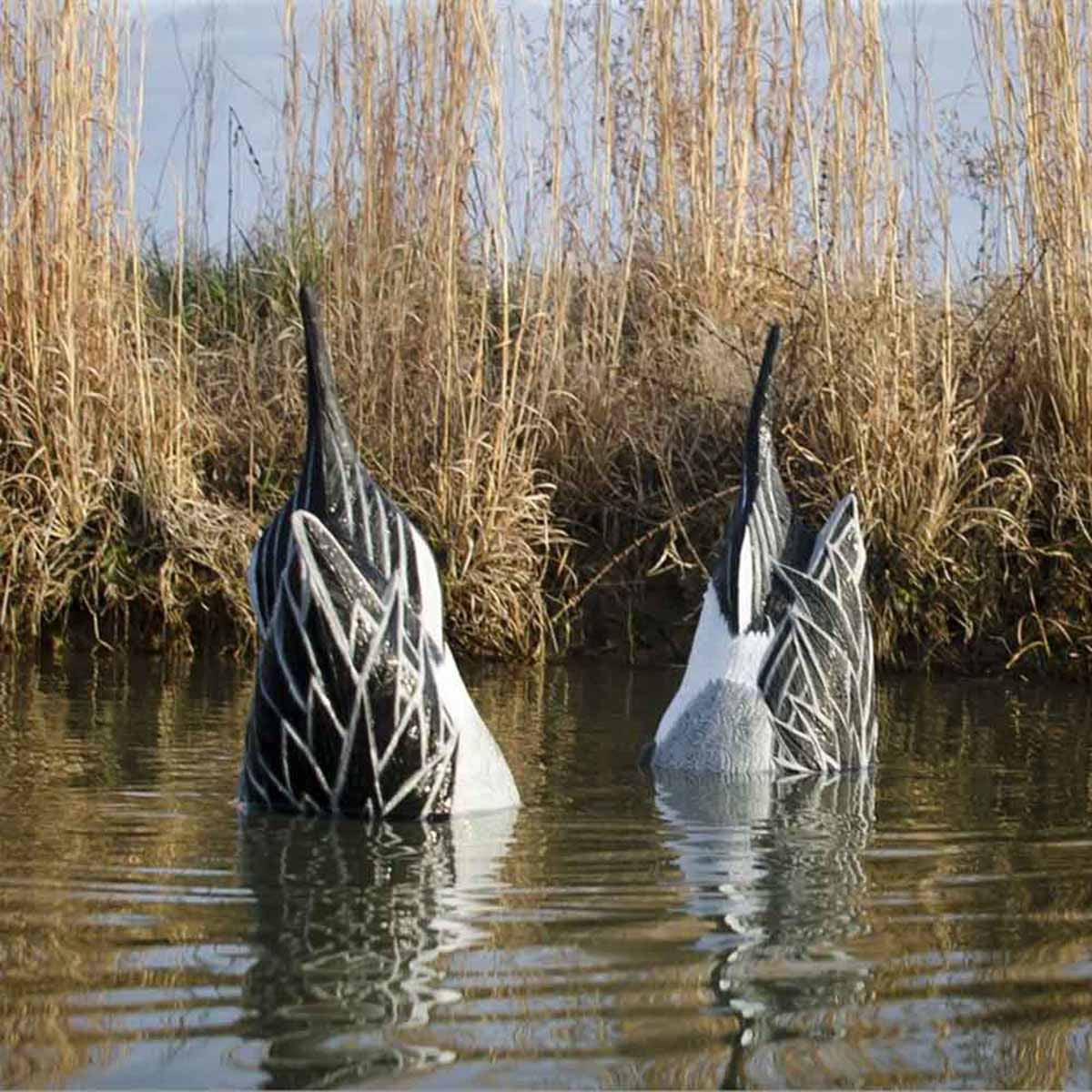Higdon Magnum Duck Butt Pintail Foam-Filled Decoys 2 Pack Field Image