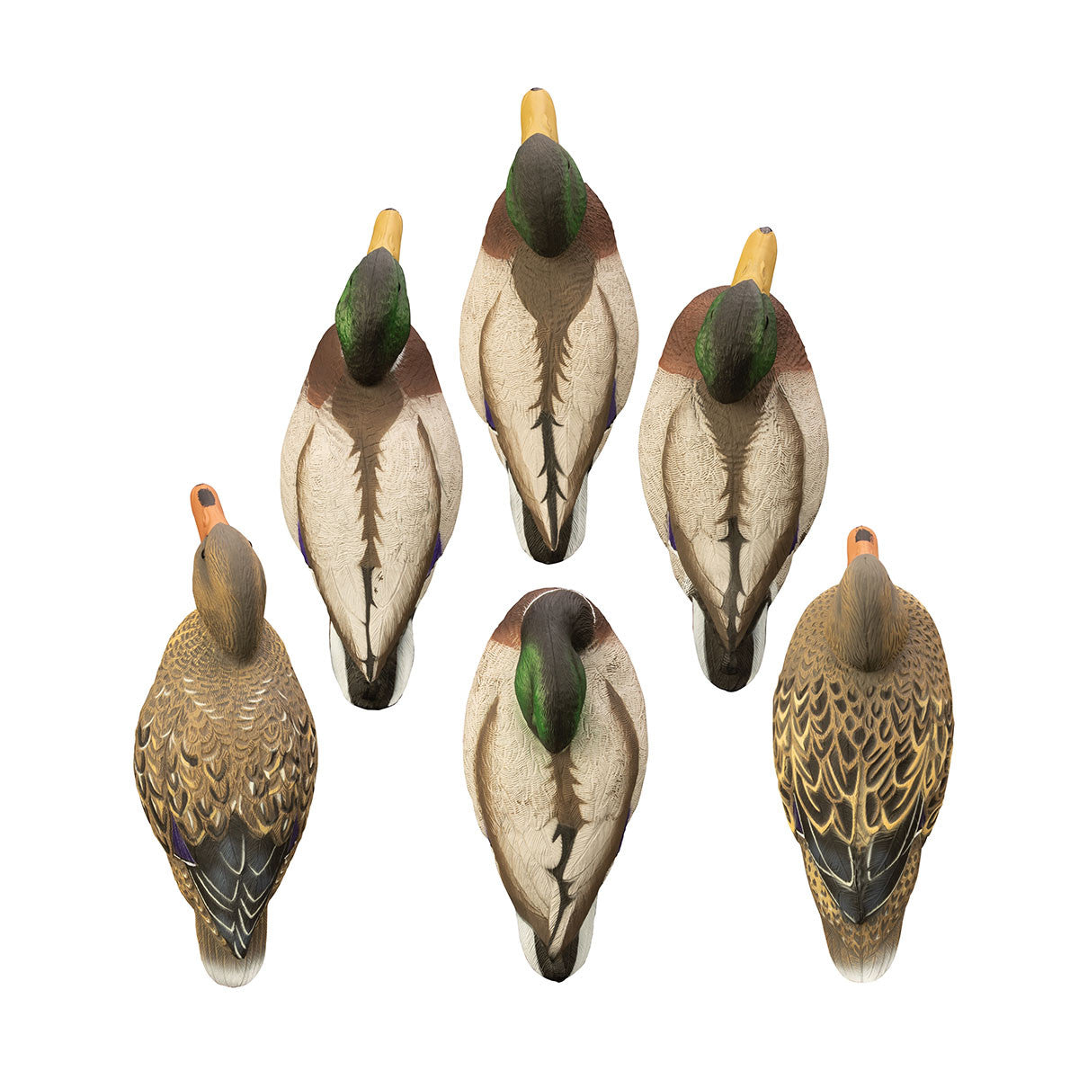 Higdon Outdoors Full-Size Mallard Duck Decoys, 6 Pack Top Image