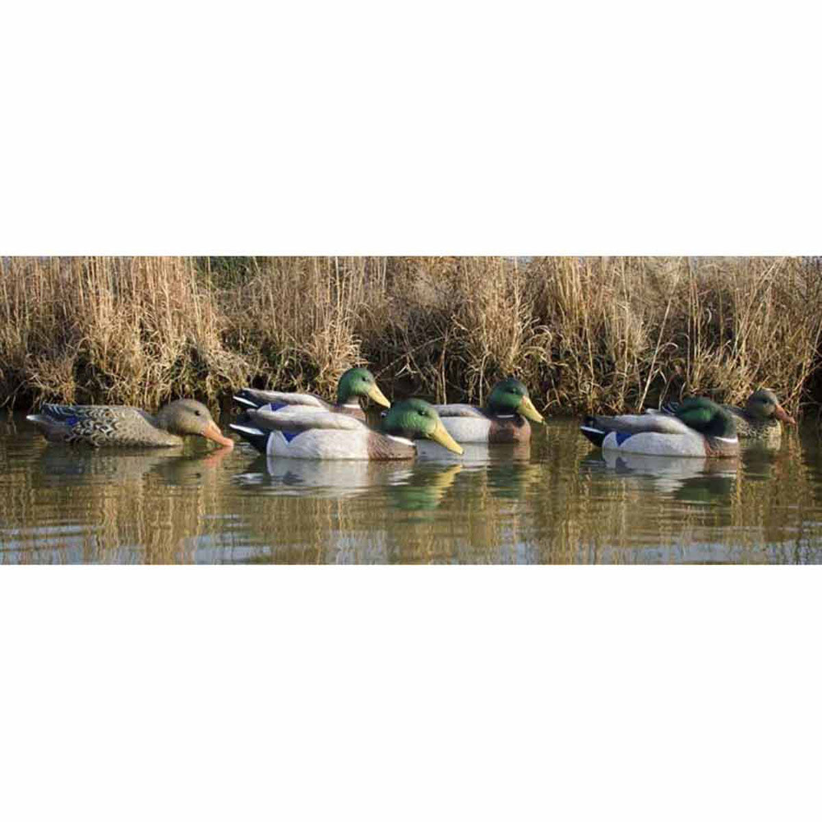 Full-Size Mallard Foam Filled Floating Decoys, 6 Pack