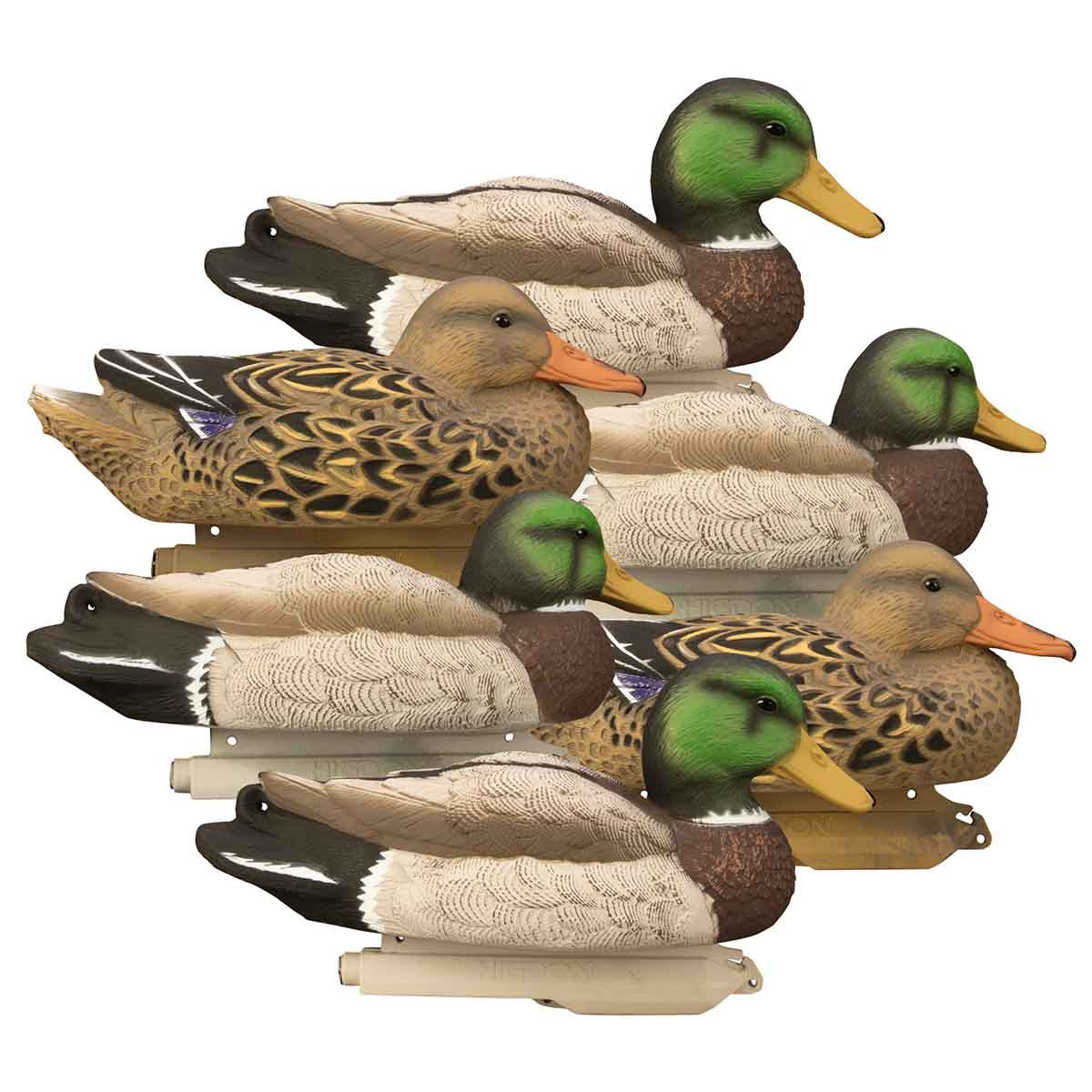 Higdon Standard Mallard Duck Decoys Image