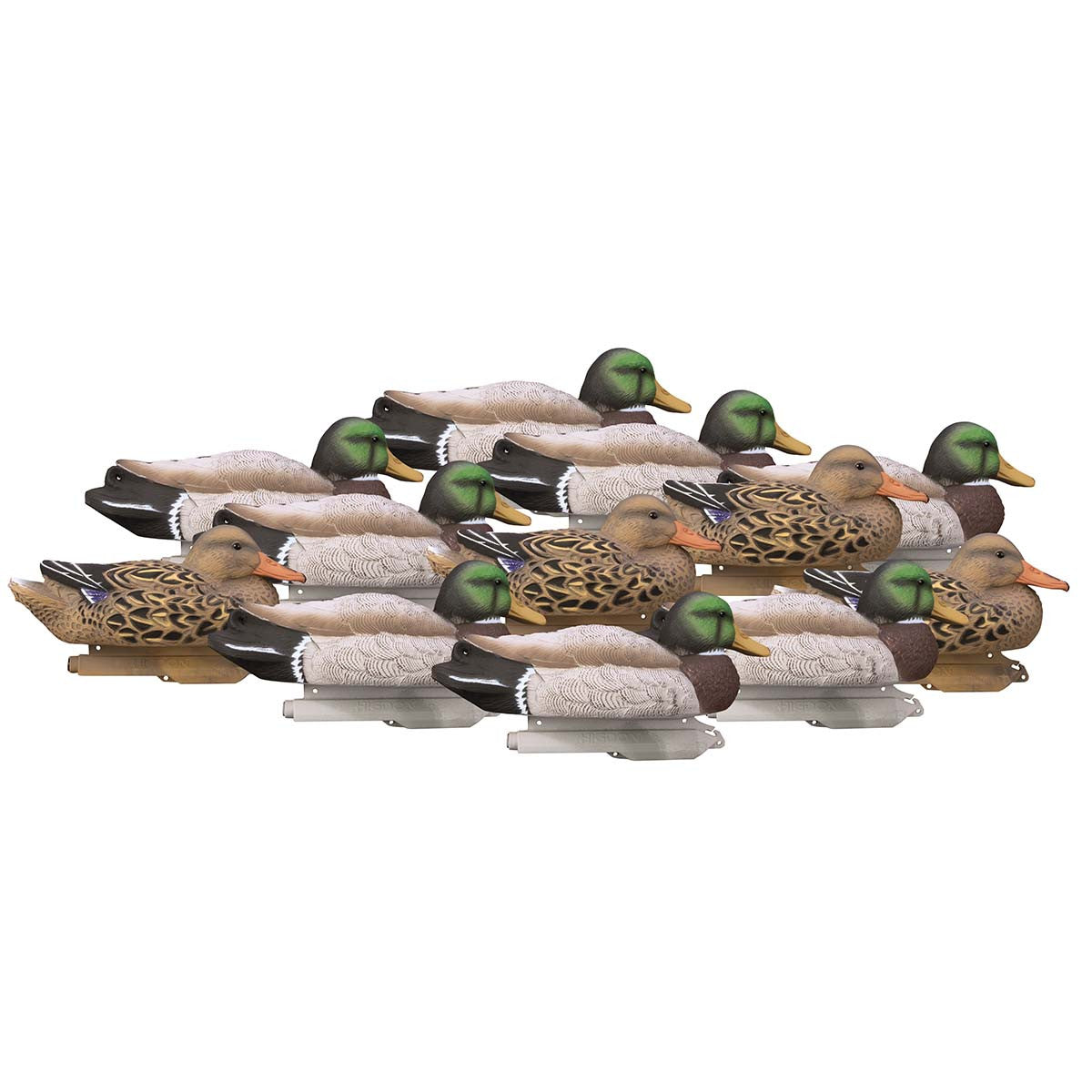Standard Mallard Foam Filled Duck Decoys 12 Pack