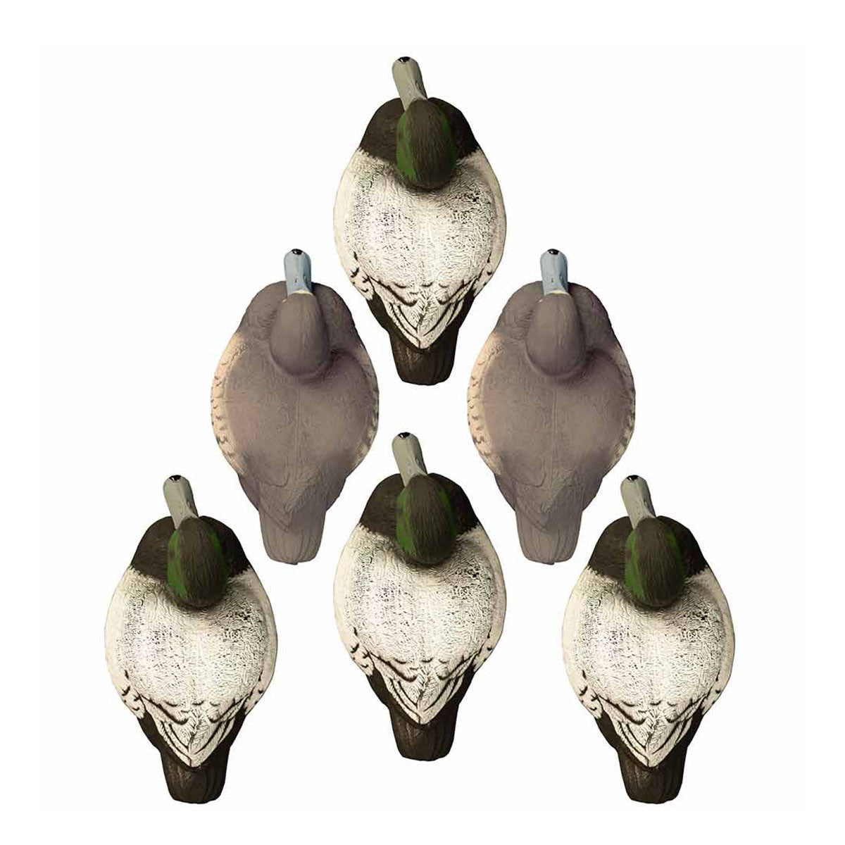 Standard Bluebill Foam Filled Duck Decoys, 6 Pack