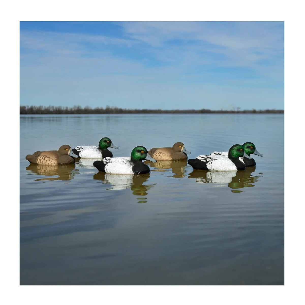 Higdon Outdoors Standard Bluebill Foam-Filled Duck Decoys - 12 Pack Field Image